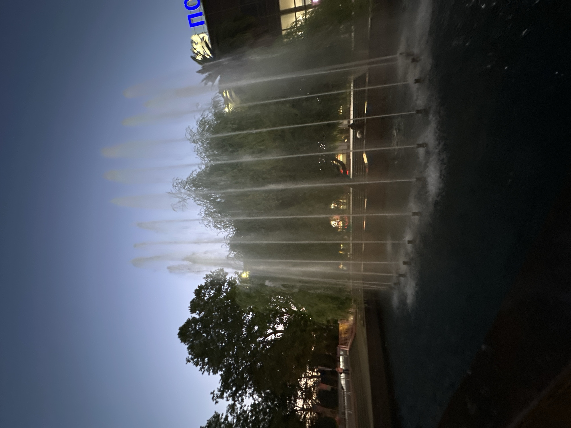 Sochi park scenes: fountains, palms, and summer flower beds