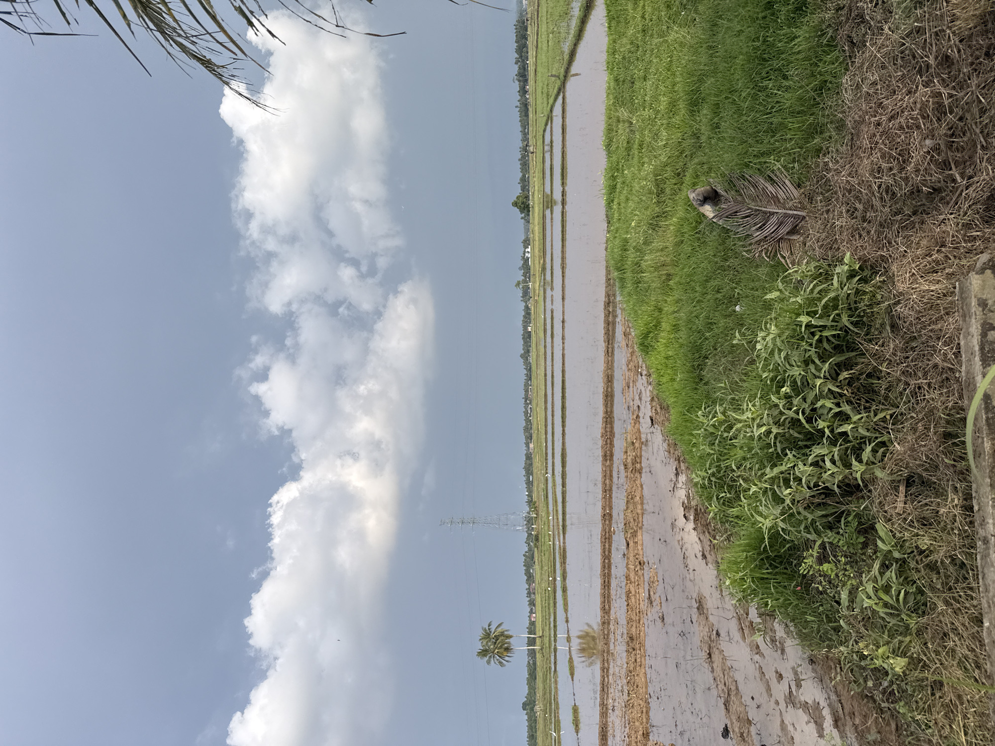 Flooded paddy fields reflect sky near Lhokseumawe, Indonesia