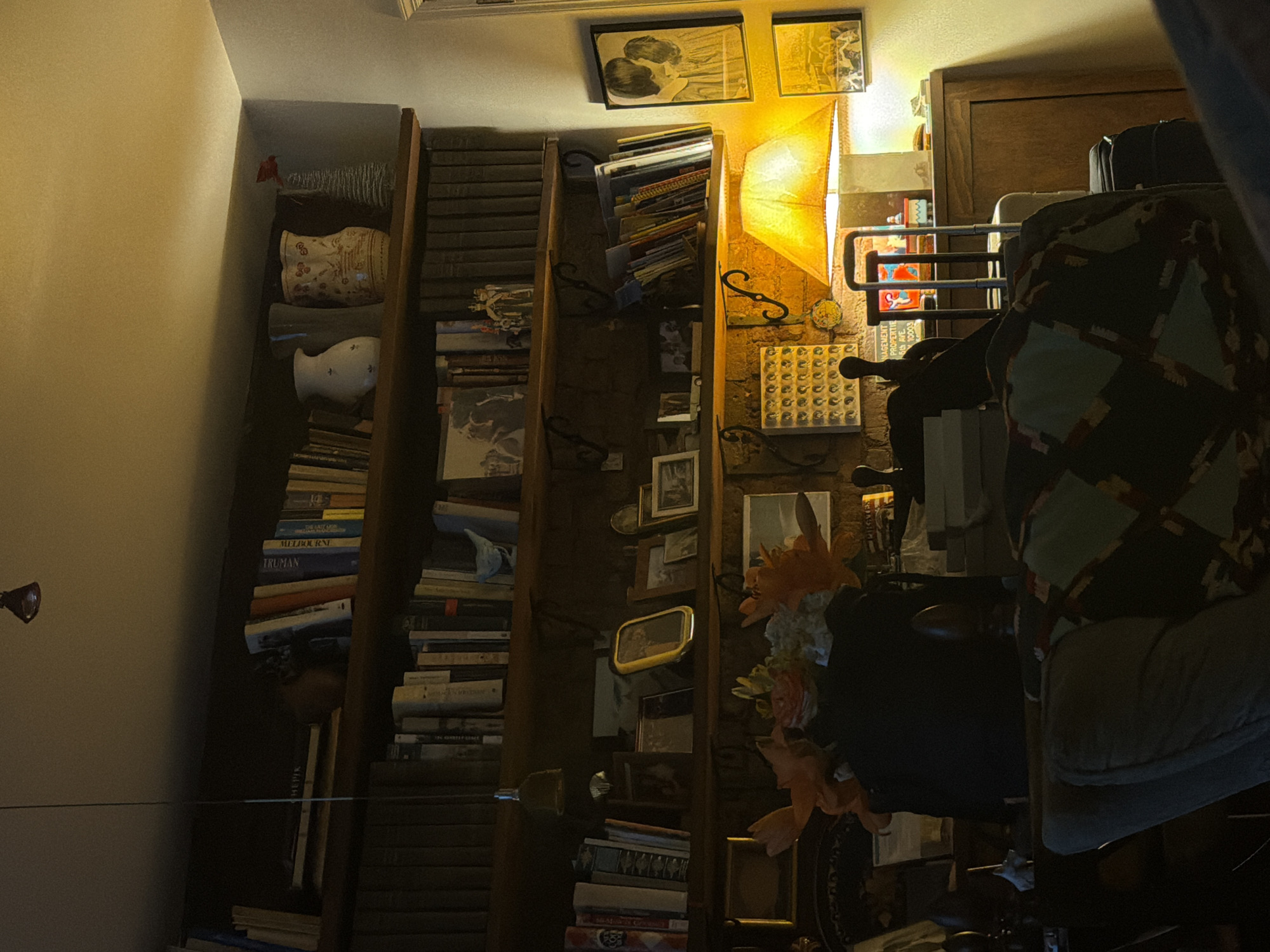 New York resident documents home bookshelf interior scene