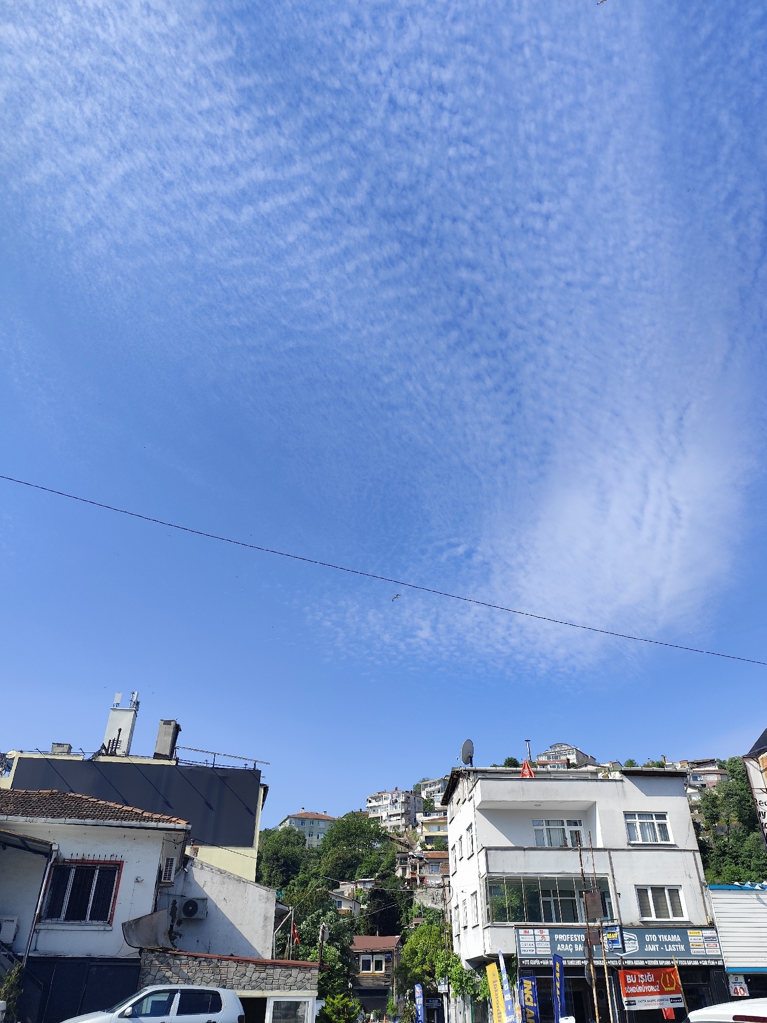 Morning street life documented in Istanbul's Sarıyer district