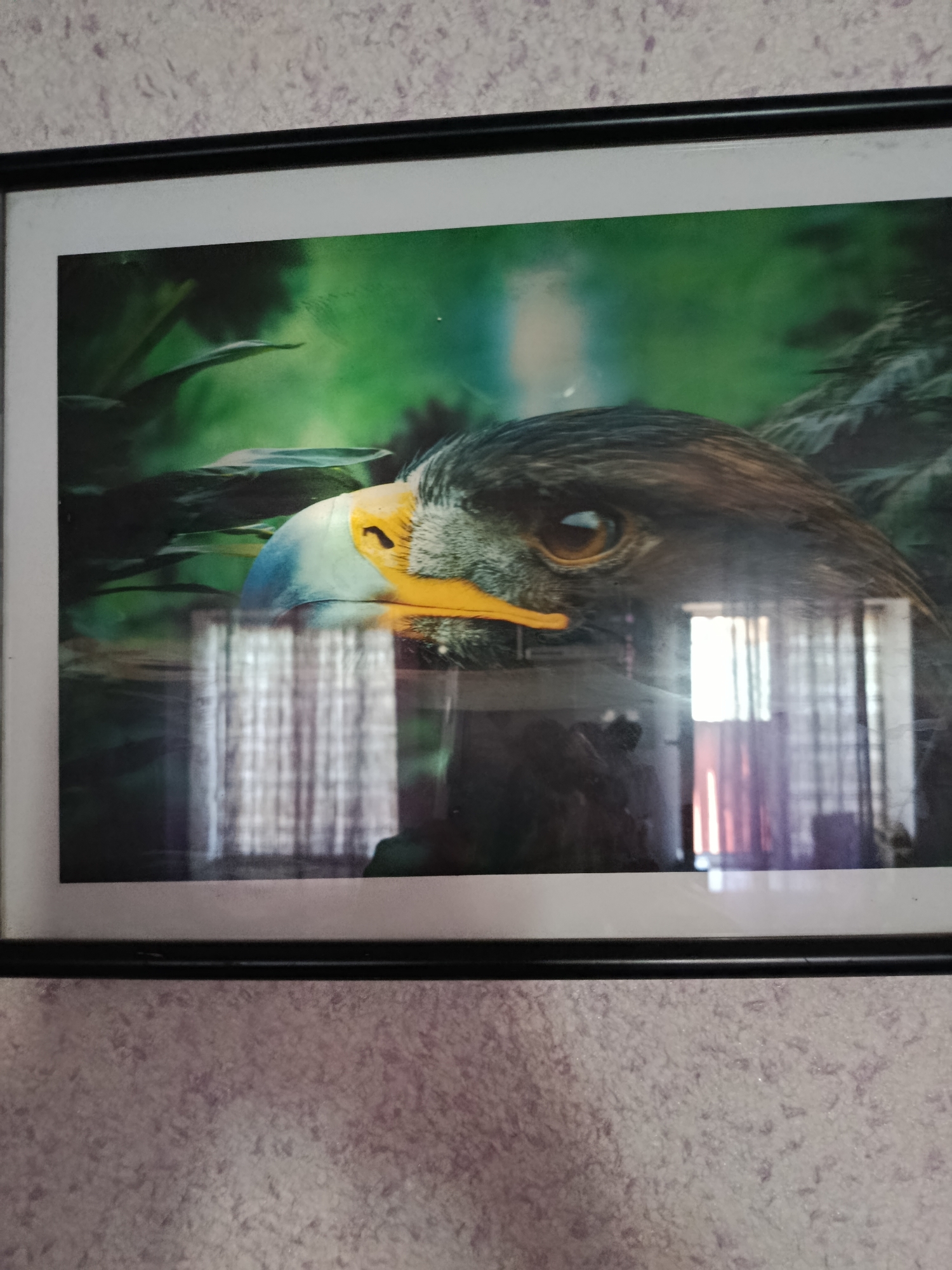 Home décor collection documented in Voznesensk residence