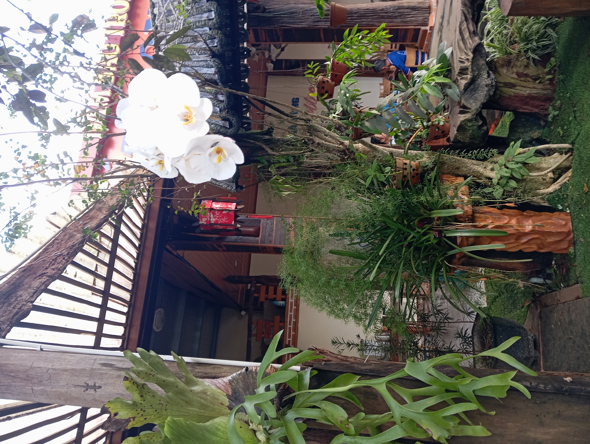 Rustic garden venue in Chư Sê filled with carvings and tropical greenery