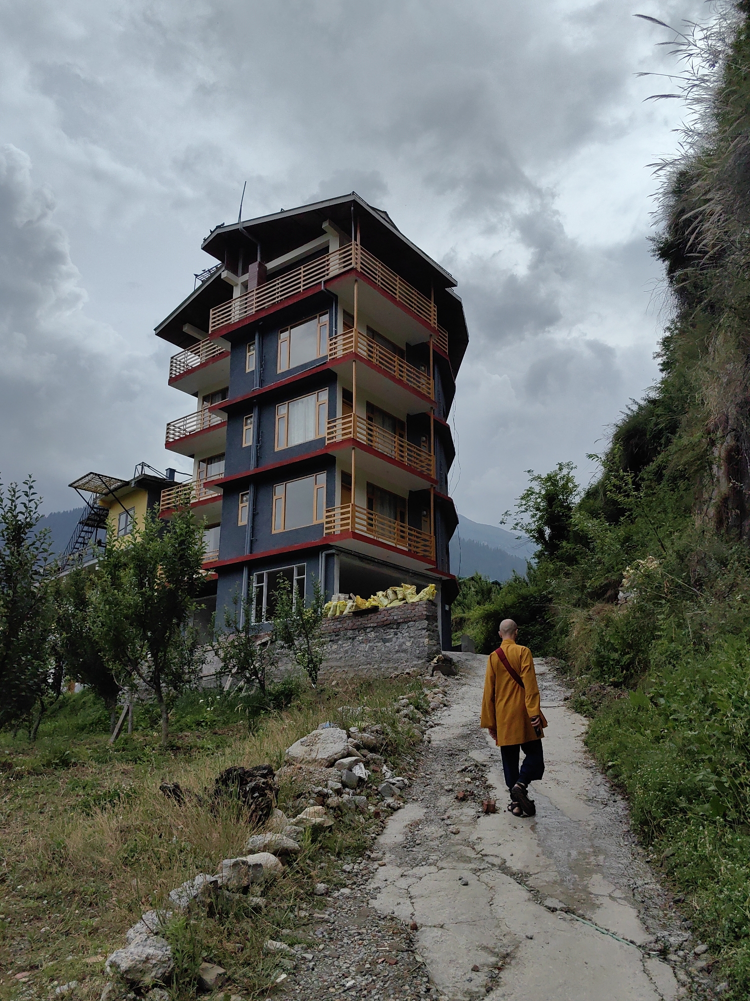 Himalayan morning: mountain views and microscopic insect photography