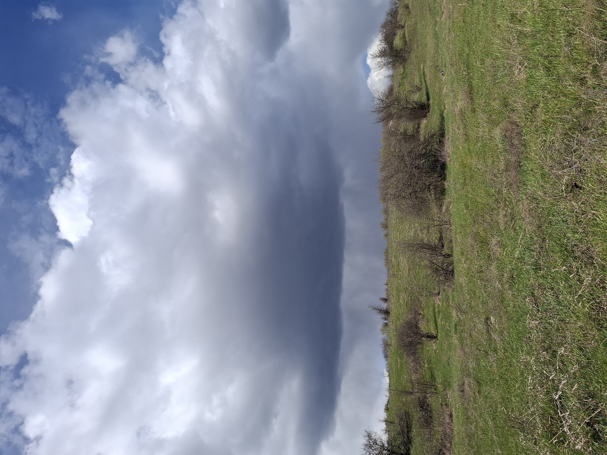 Spring countryside documented in rural Russia under dramatic skies