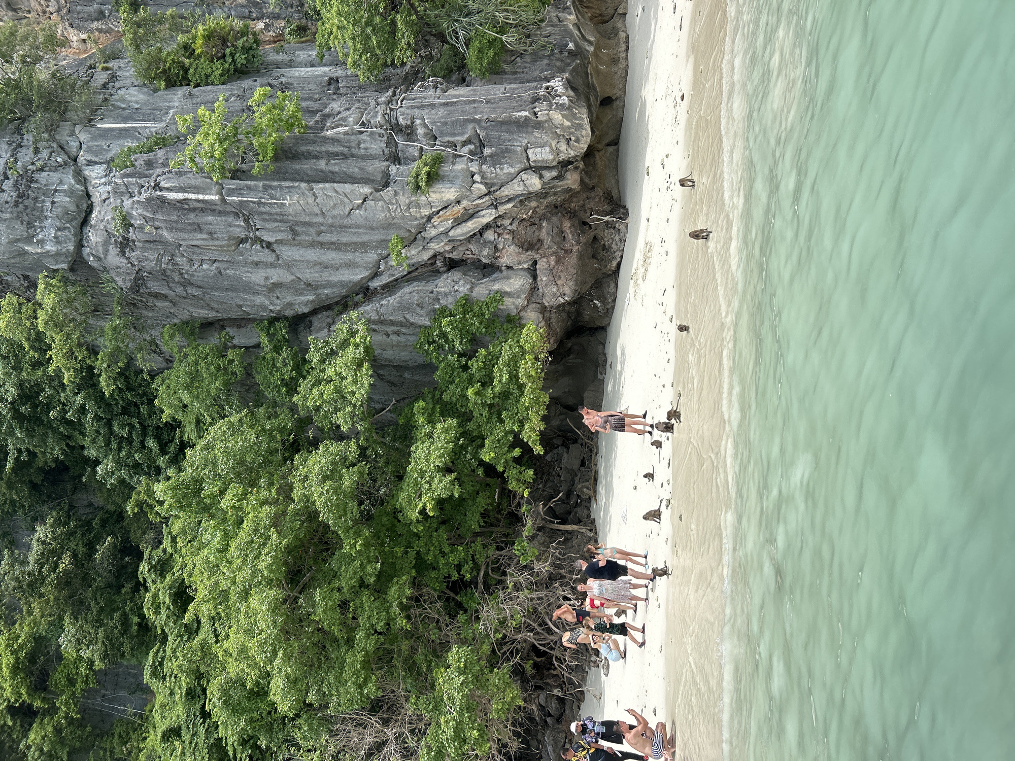 Monkeys and tourists share Ton Sai's limestone-framed beach