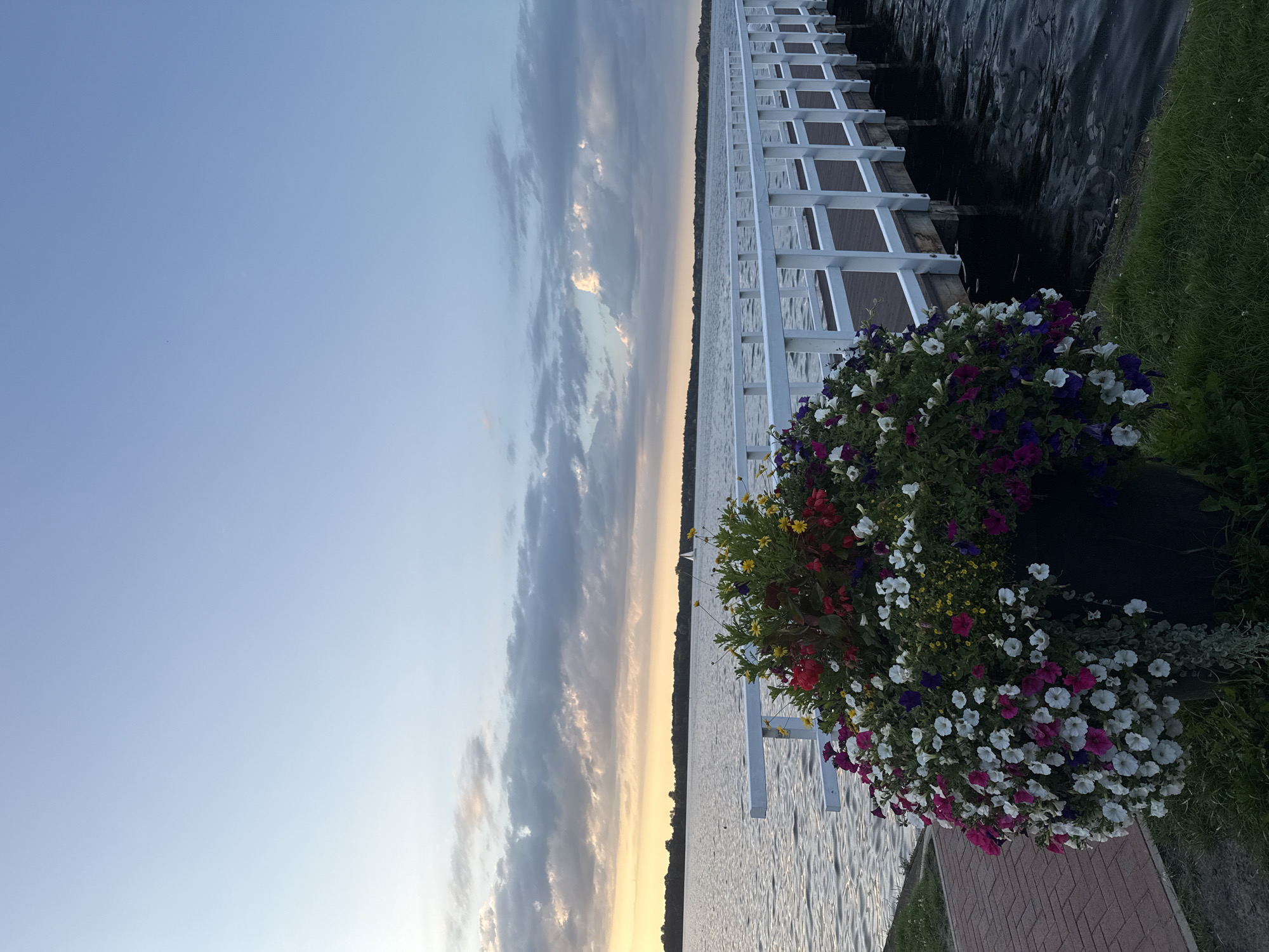 Dusk at Bad Zwischenahn's lakeside, boats and blooms