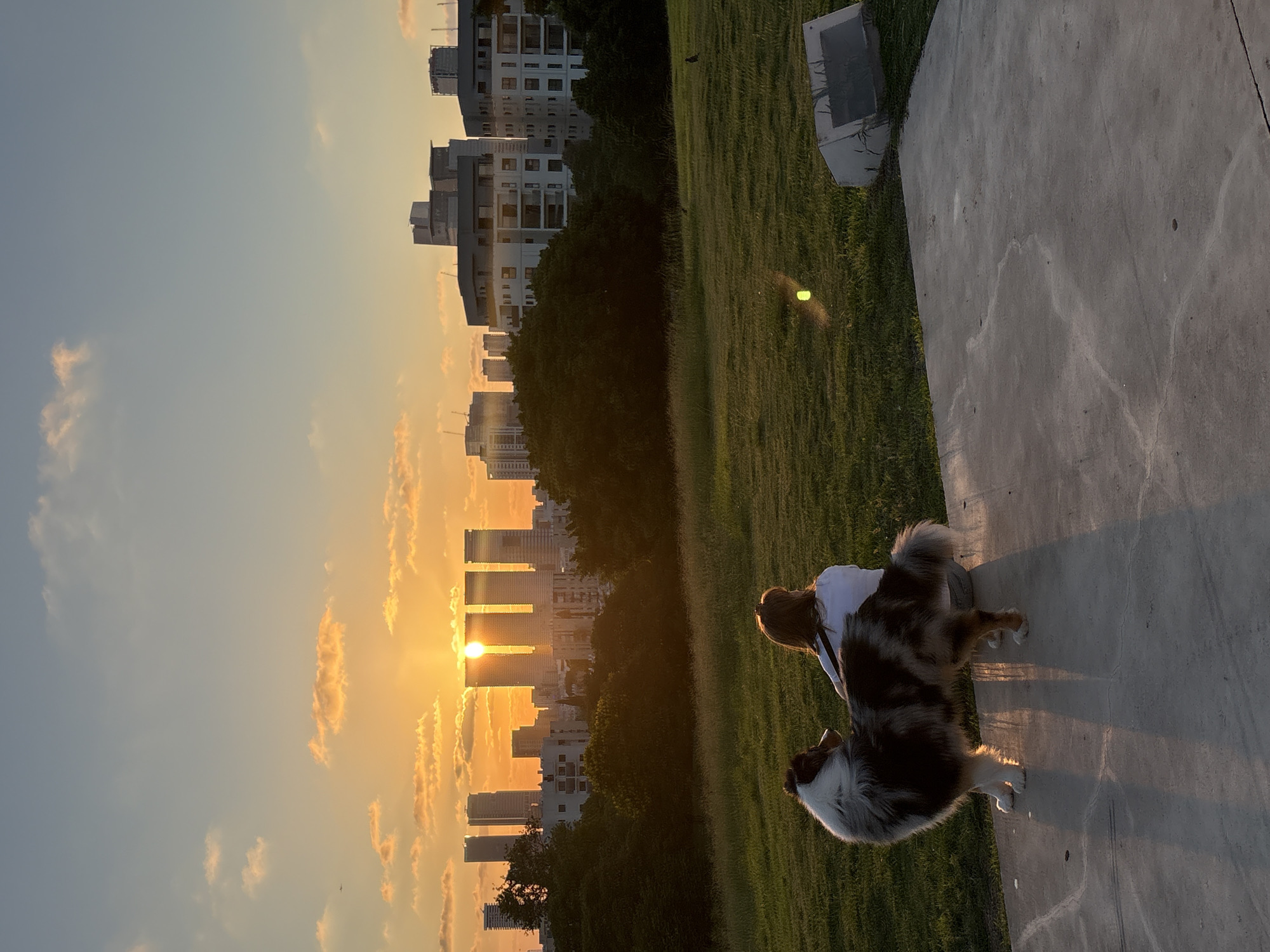 Golden hour in a Tel Aviv park, skyline in the background.