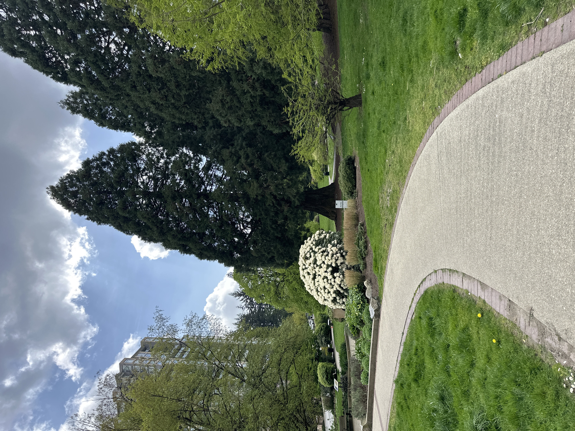 Evening park scene documented in New Westminster, Canada