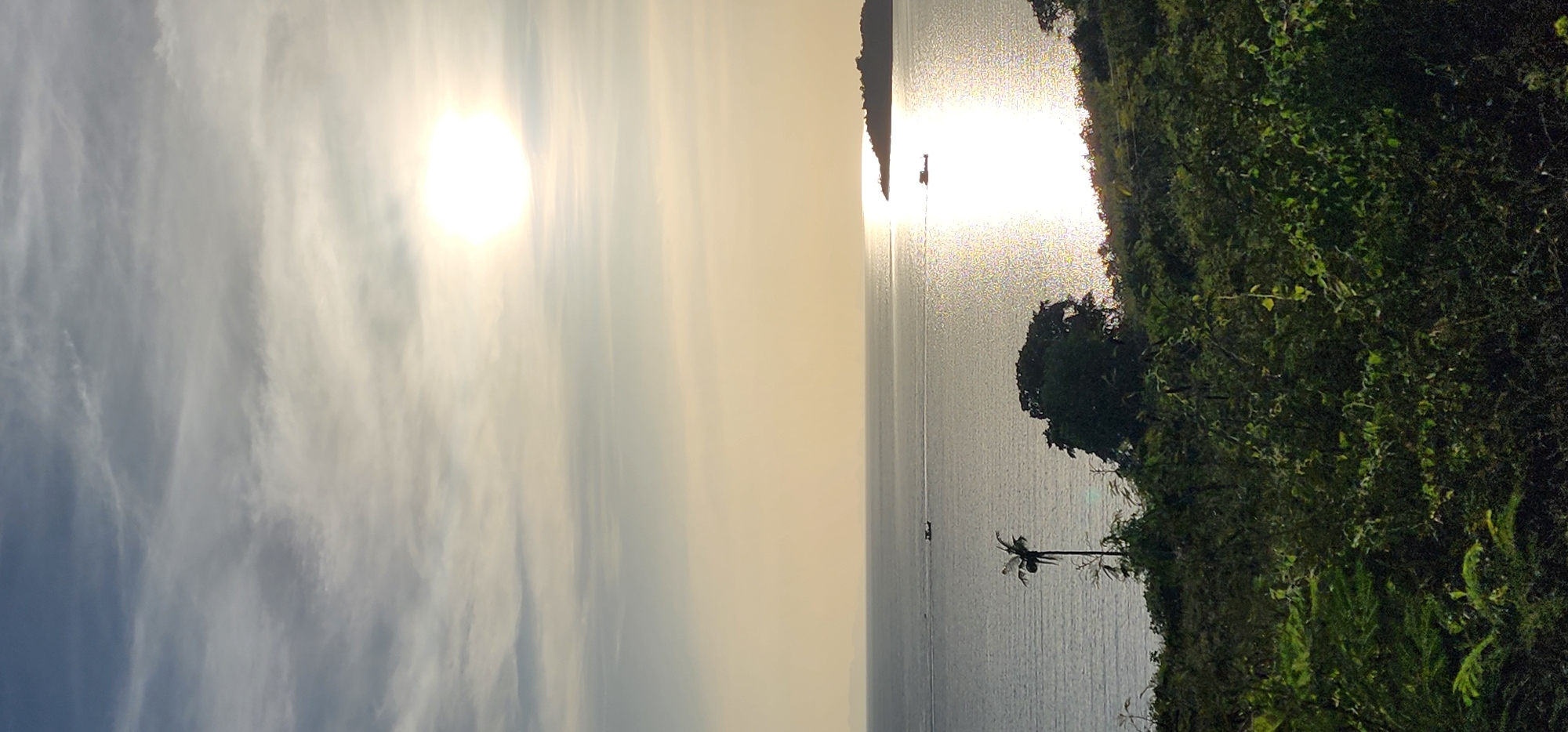 Roaming Ko Samui: coast, construction, cats, and open skies