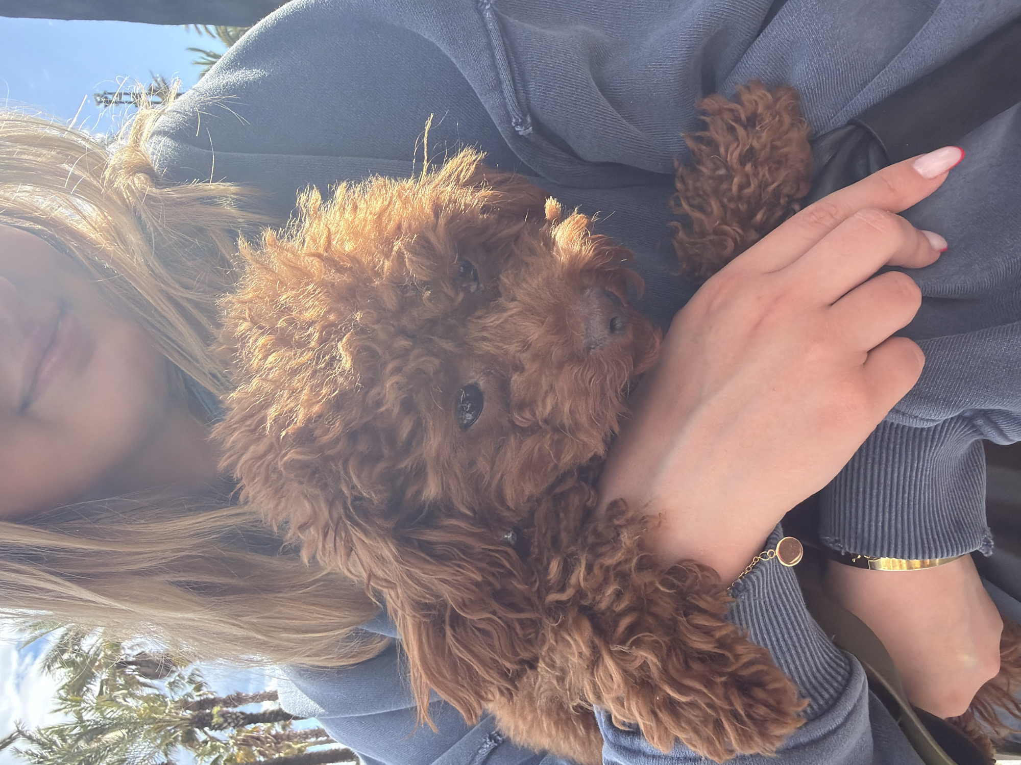 Woman walks poodle along Salou promenade and beach
