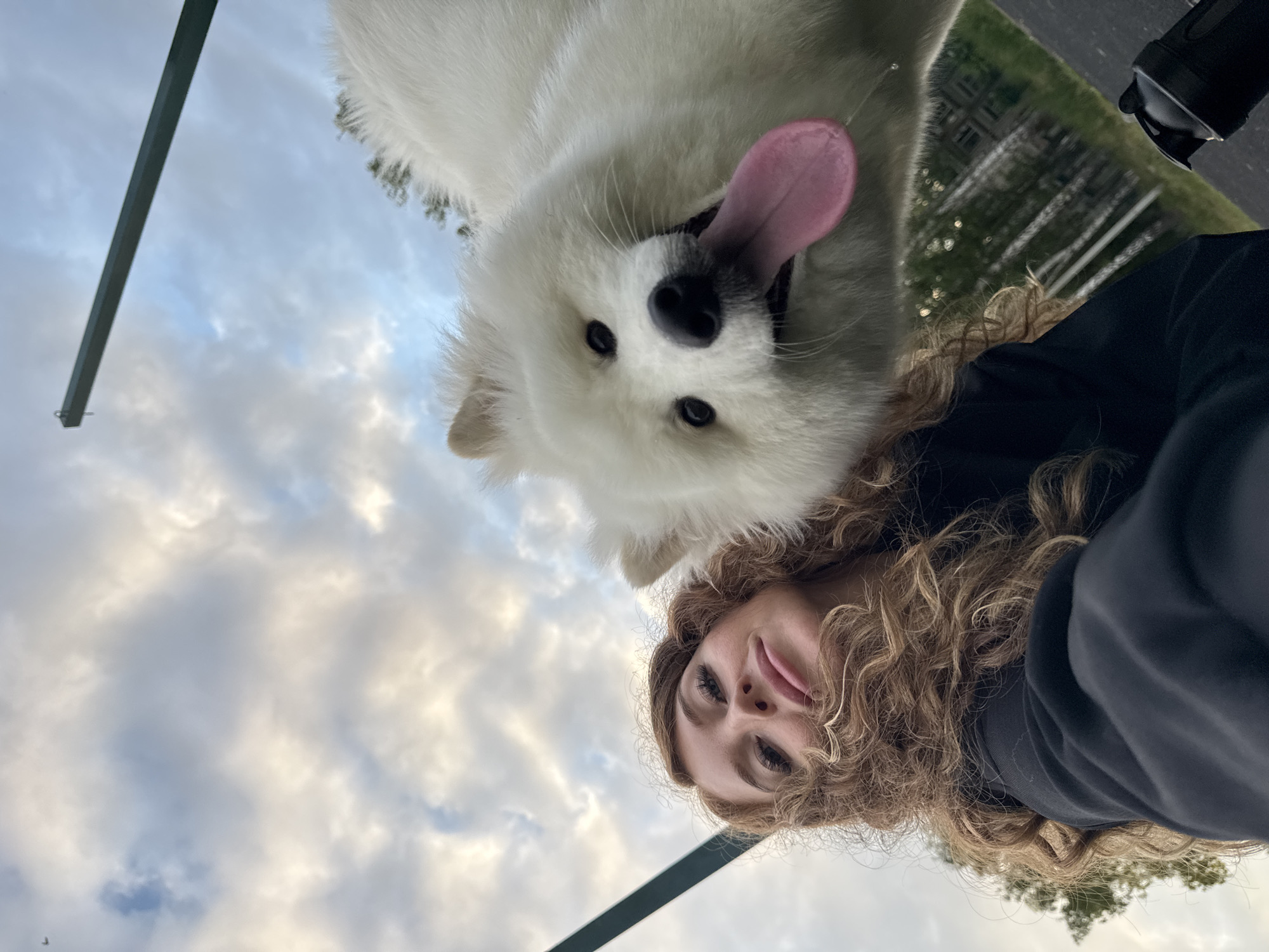 Afternoon pet playtime and photography session in Chaikovsky park
