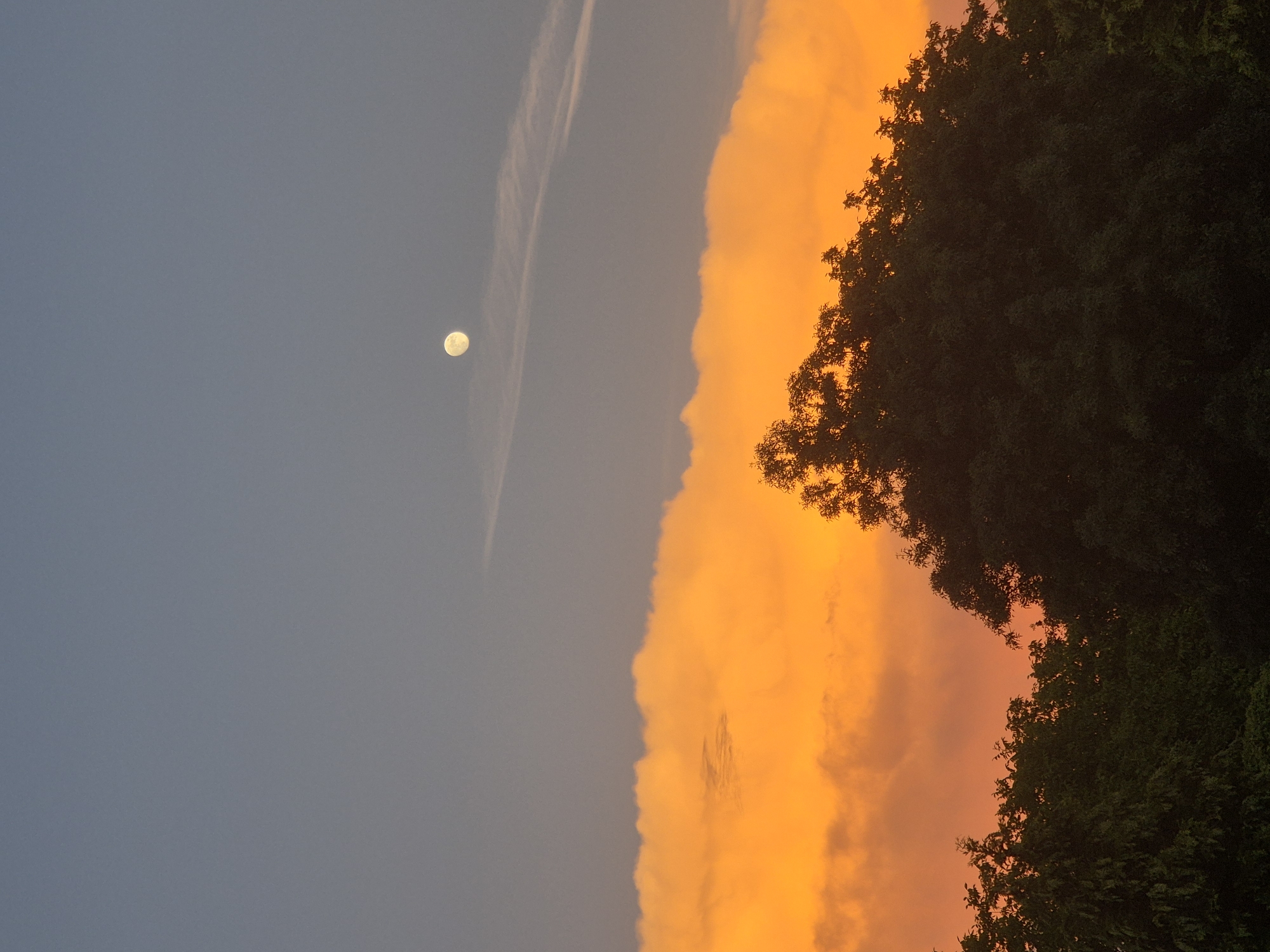 Sunset and moon observed simultaneously with cat in Pavlikeni