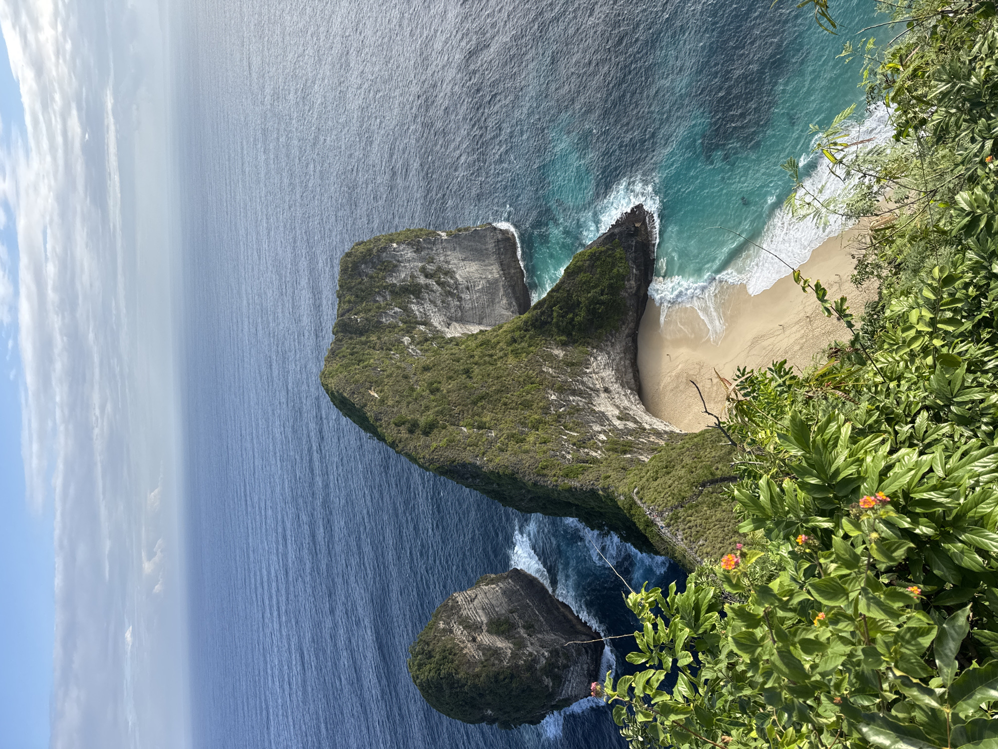 Kelingking Beach's iconic T-Rex cliff from above