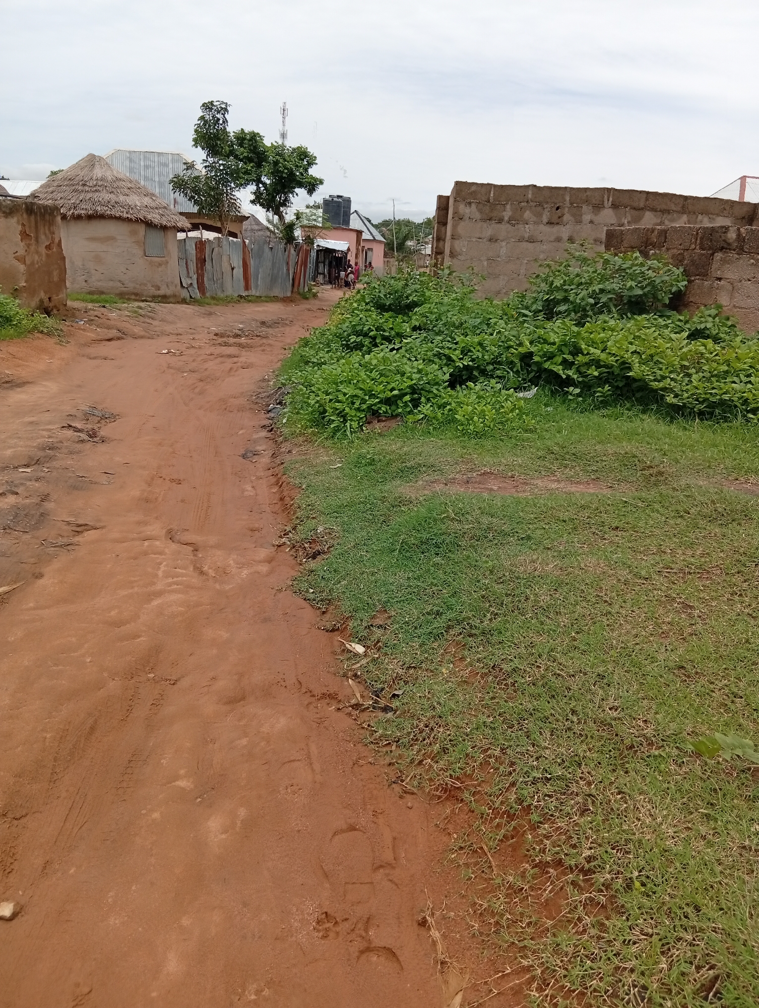Wet morning across Jalingo's rural streets and compounds