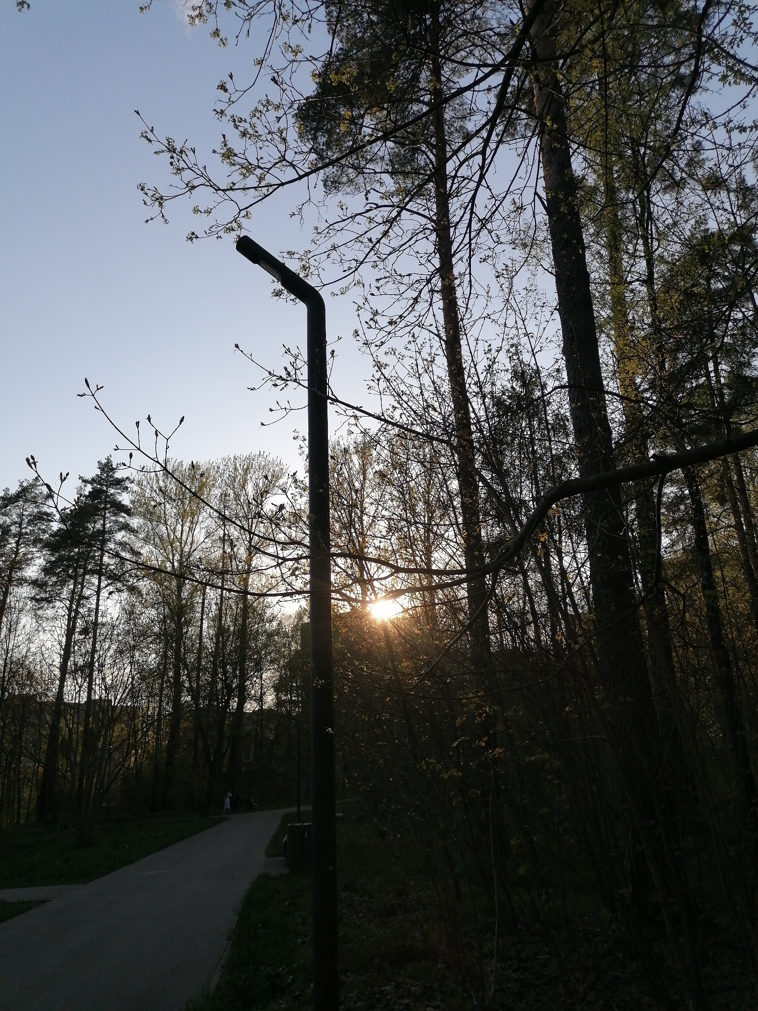 Park and forest scenes captured across 40-minute span