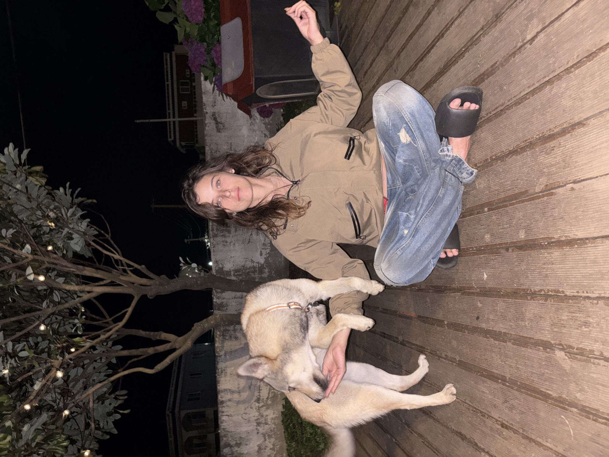 Yoga, a dog, and sashimi on a Jeju night deck