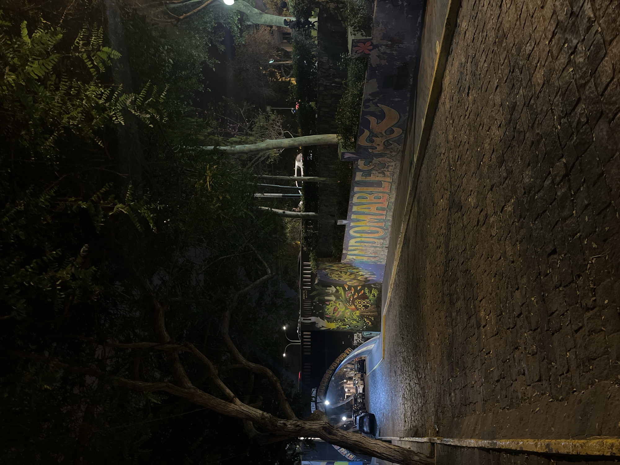 Late night street art and traffic documented in Barranco