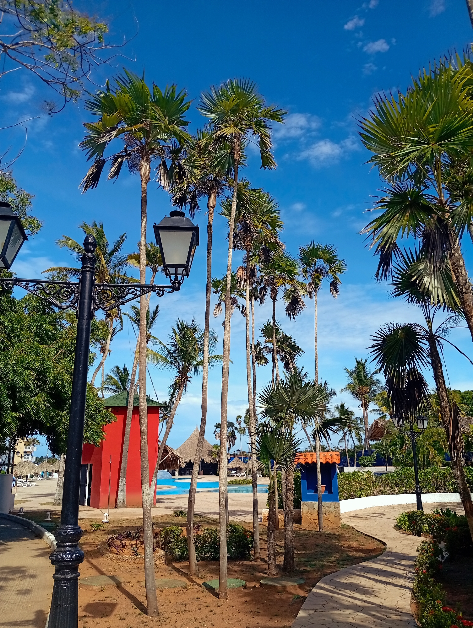 Tropical resort scenes captured at Playa El Agua, Venezuela