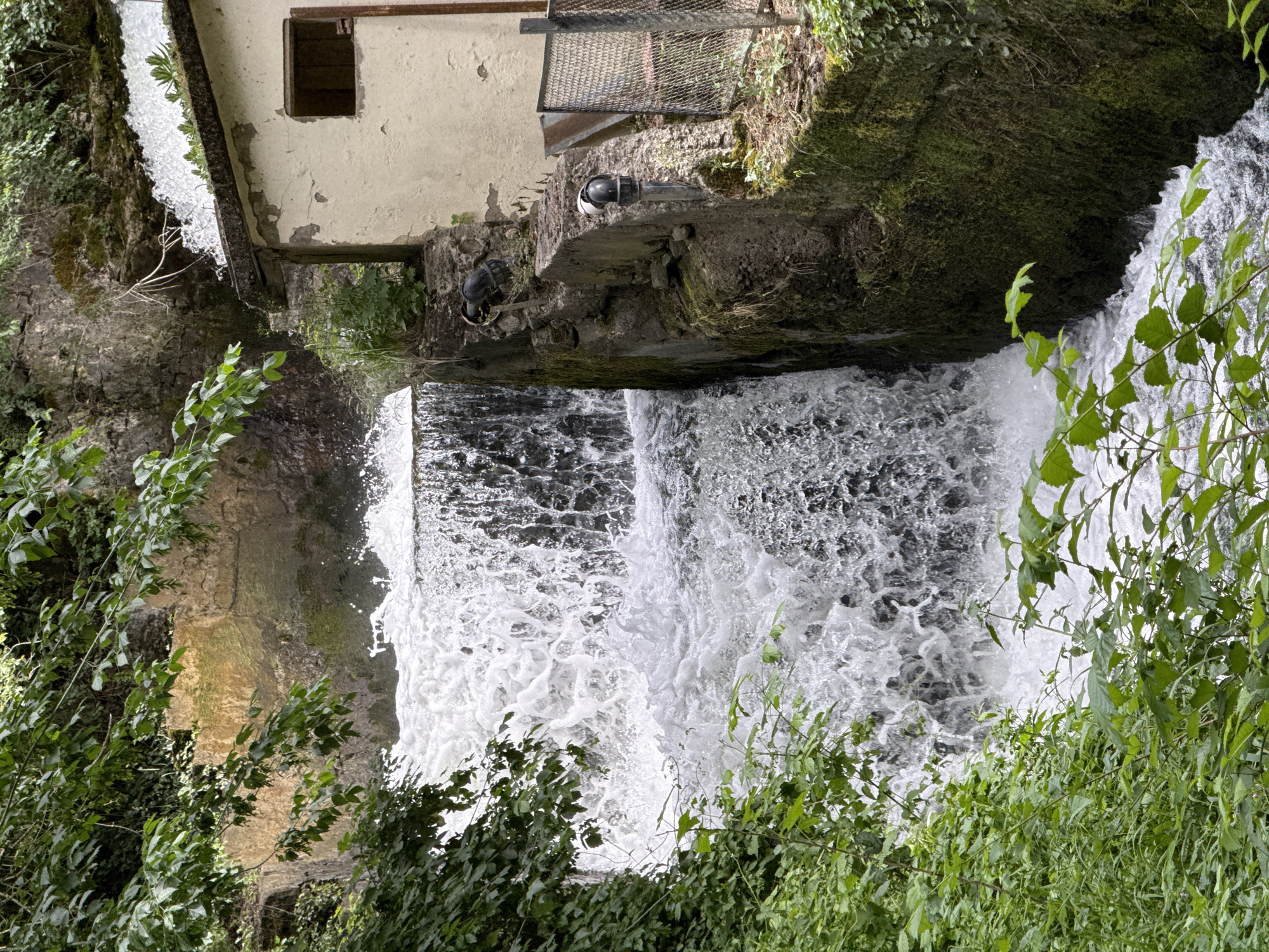 Afternoon roam through Lovech: fortress views, forest paths, and wildlife