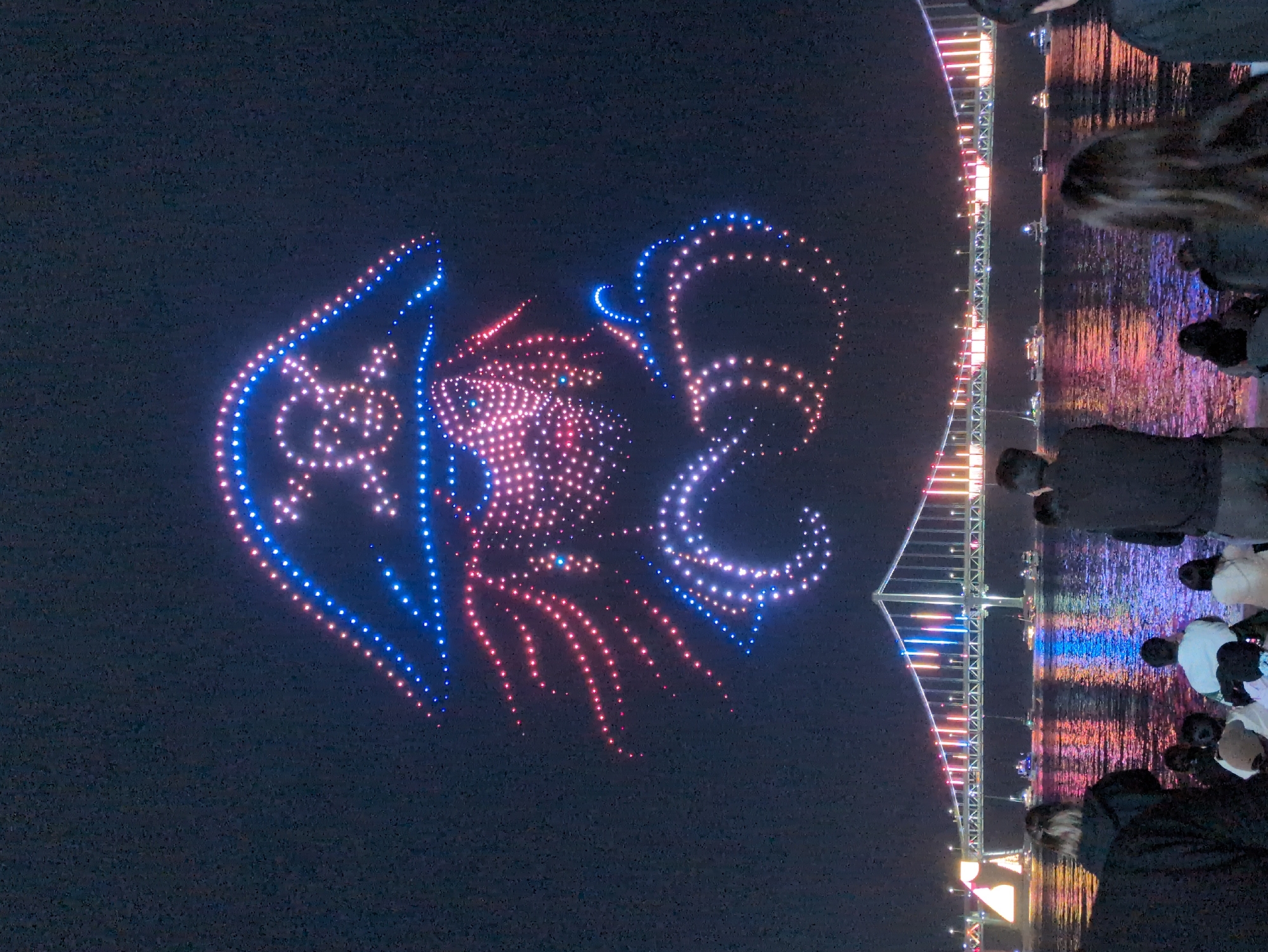 Drone phoenix light show illuminates Busan night sky