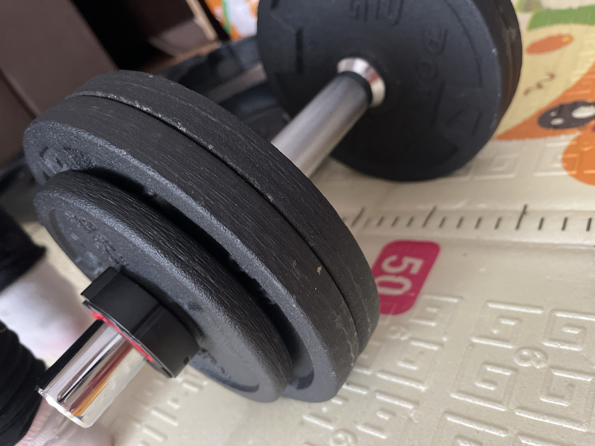 Dumbbell workout session captured in Pernik, Bulgaria