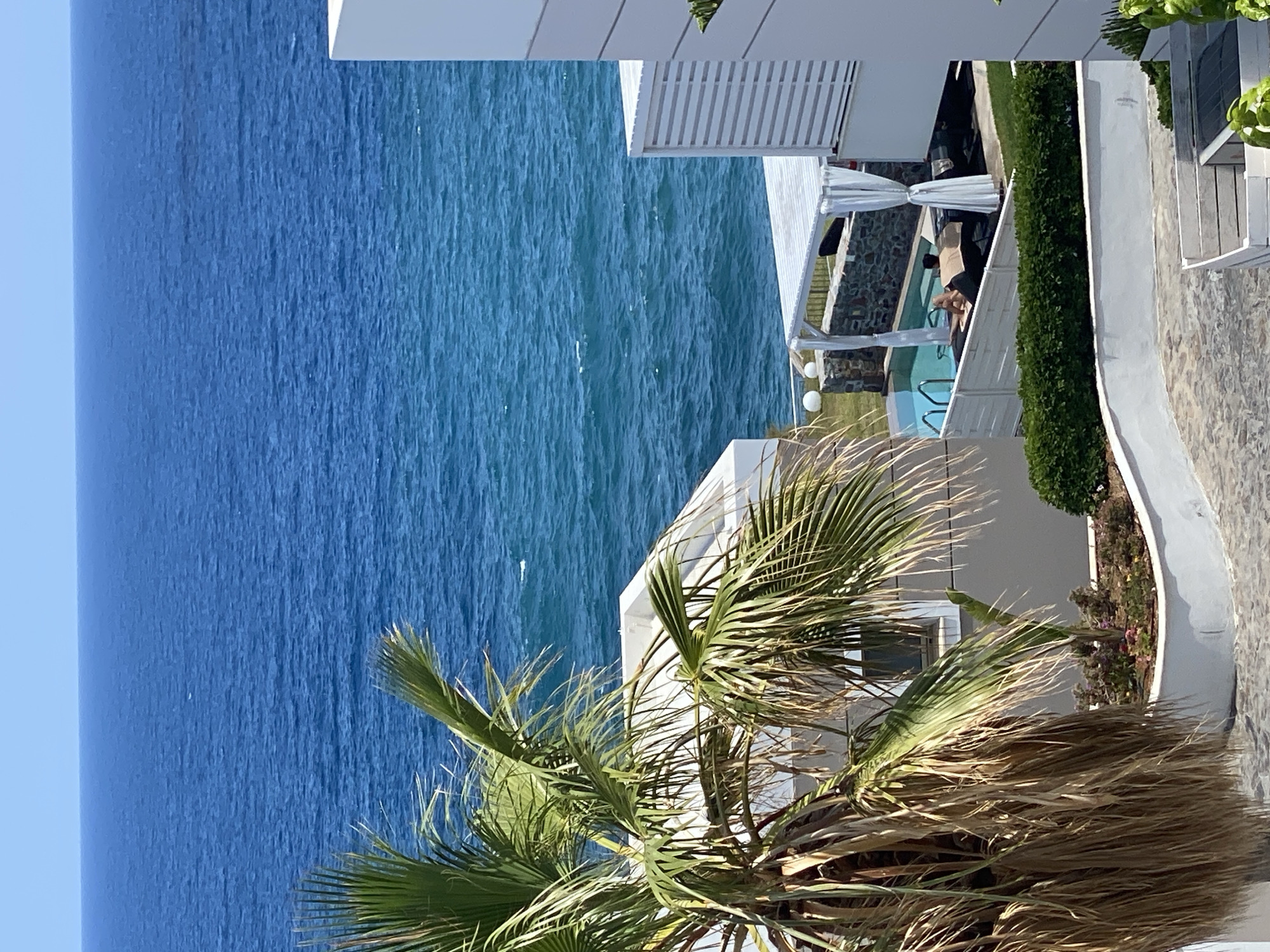 Balcony views and blooms overlooking the Aegean in Panormos
