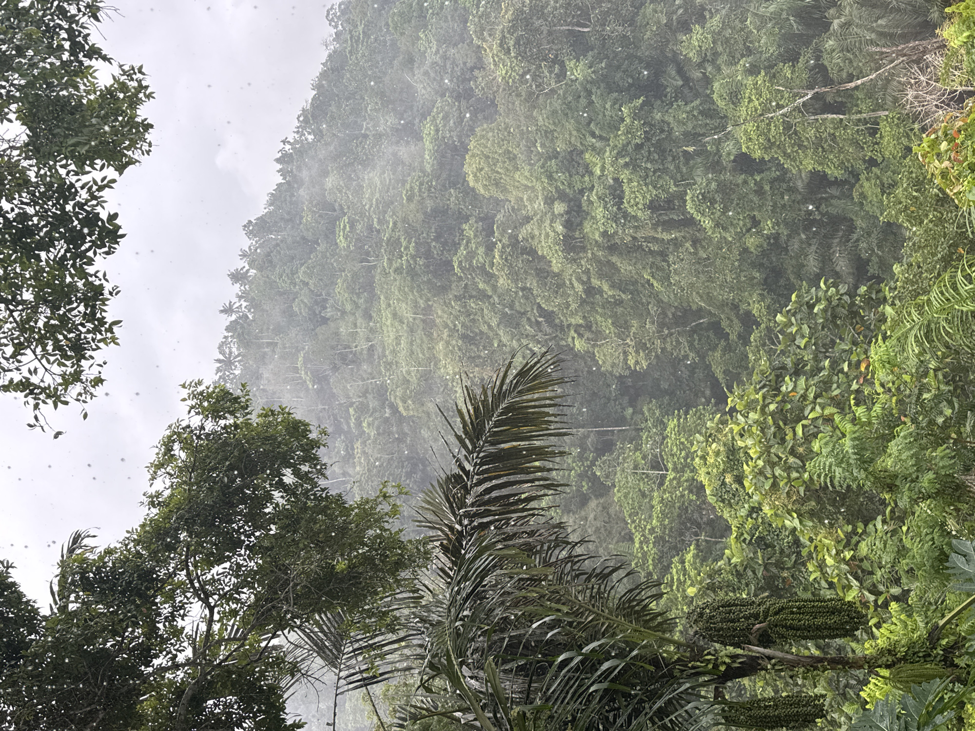 Tourist captures rainy morning scenes across lush Manggis, Indonesia