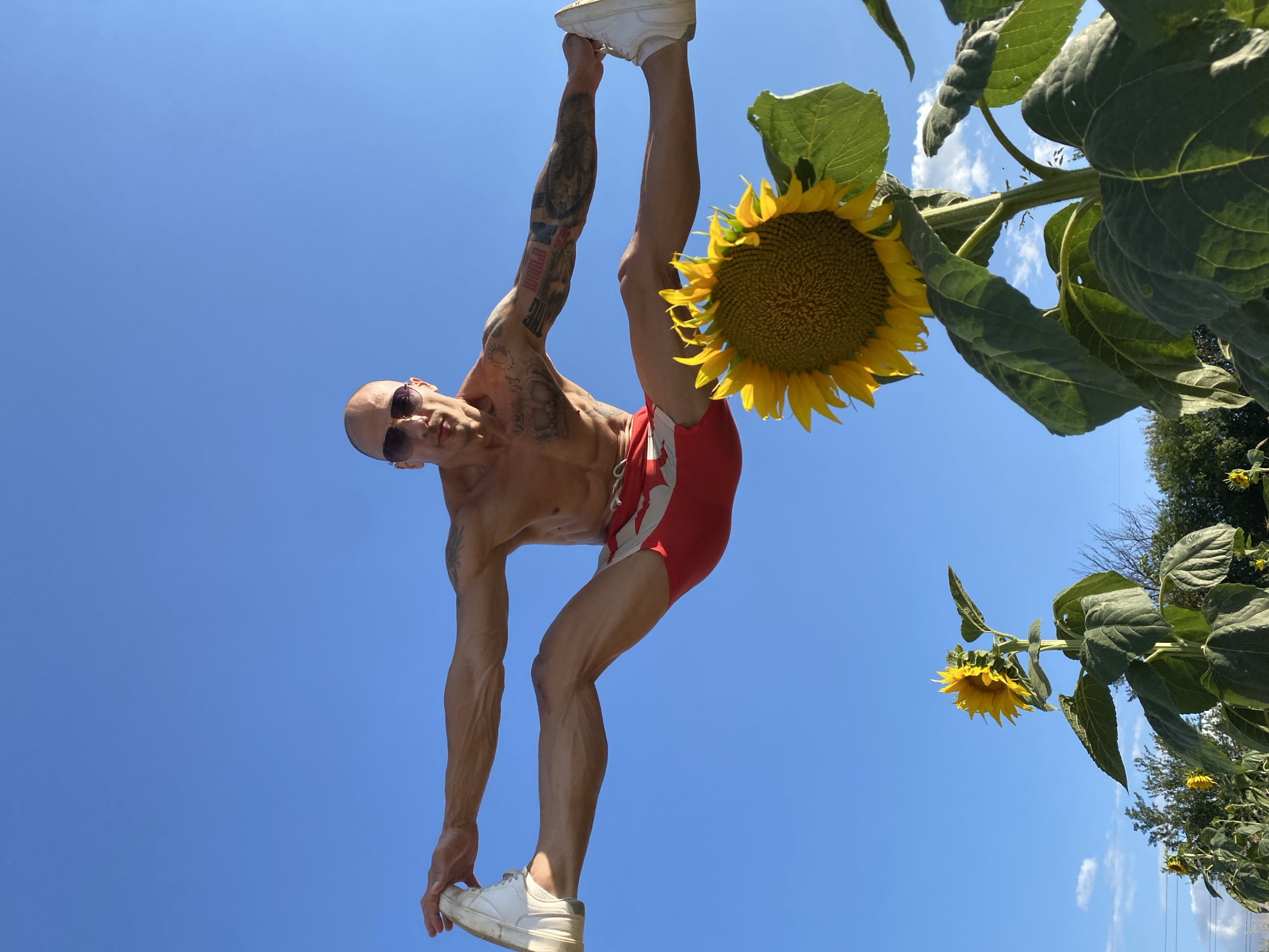 Split jumps and sunflower fields in rural Pleven, Bulgaria