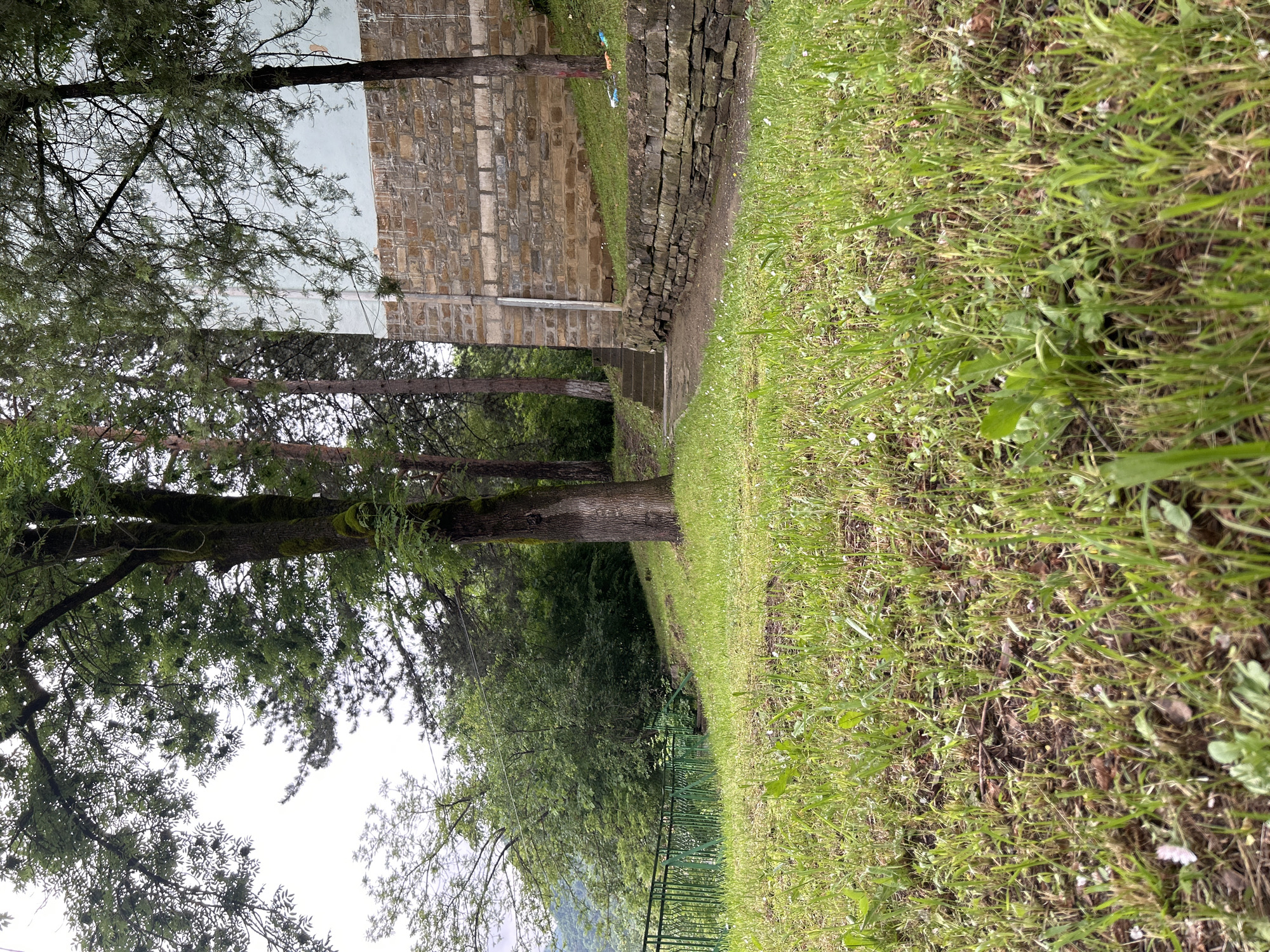 Witnesses document cats, pathways, rushing river in unknown location
