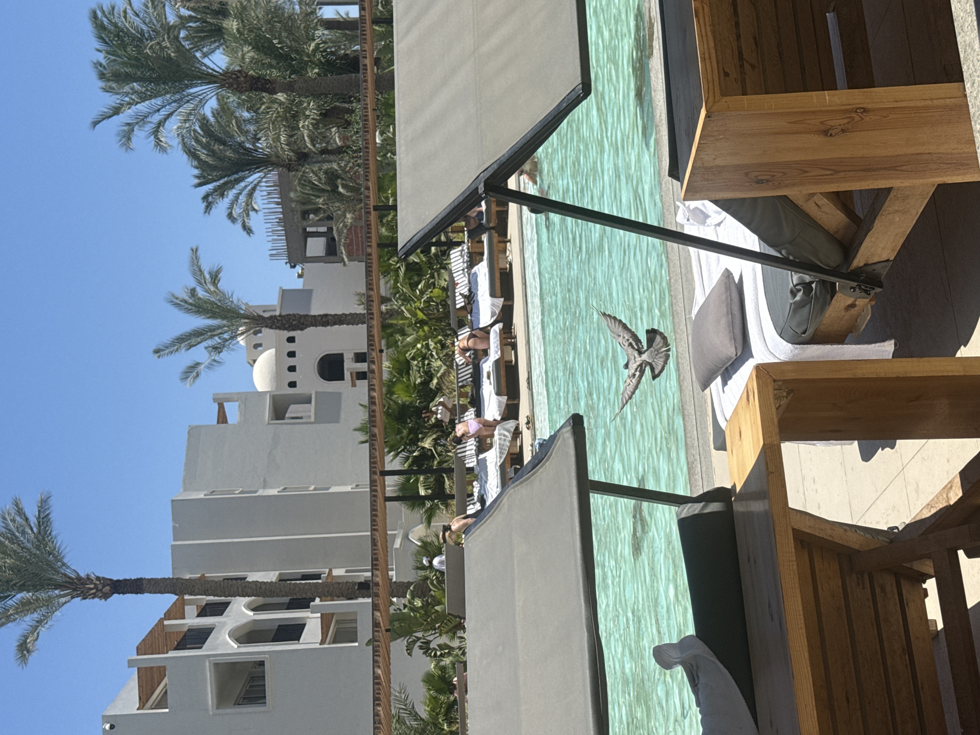 Lazy poolside morning at a Hurghada resort