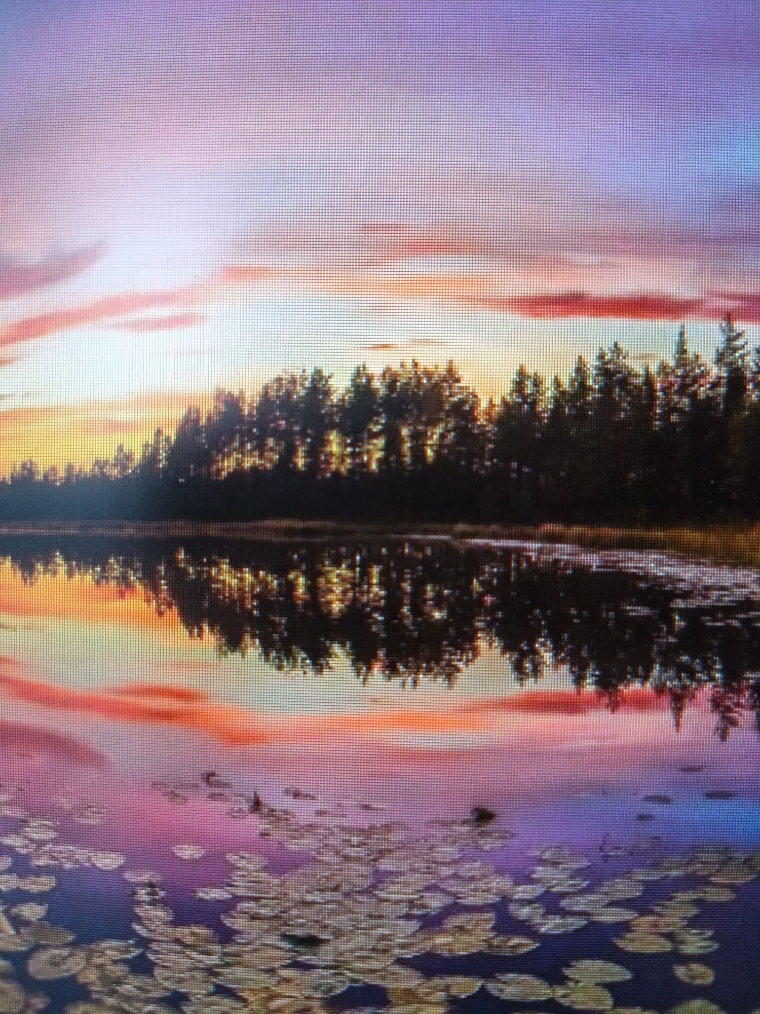 Sunset over calm water near Vistino, Russia
