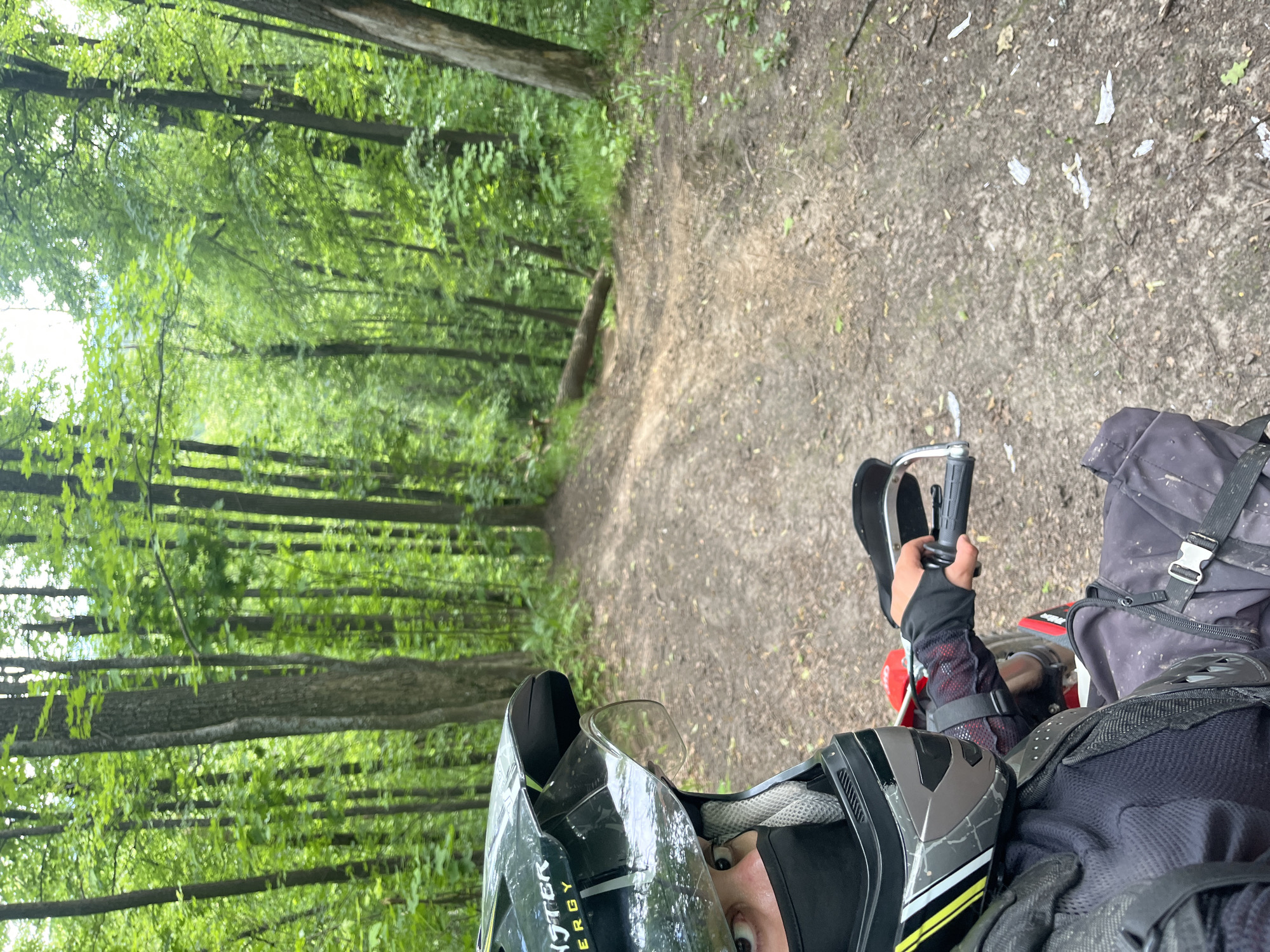 Motorcyclist documents fallen trees blocking forest trails in Russia