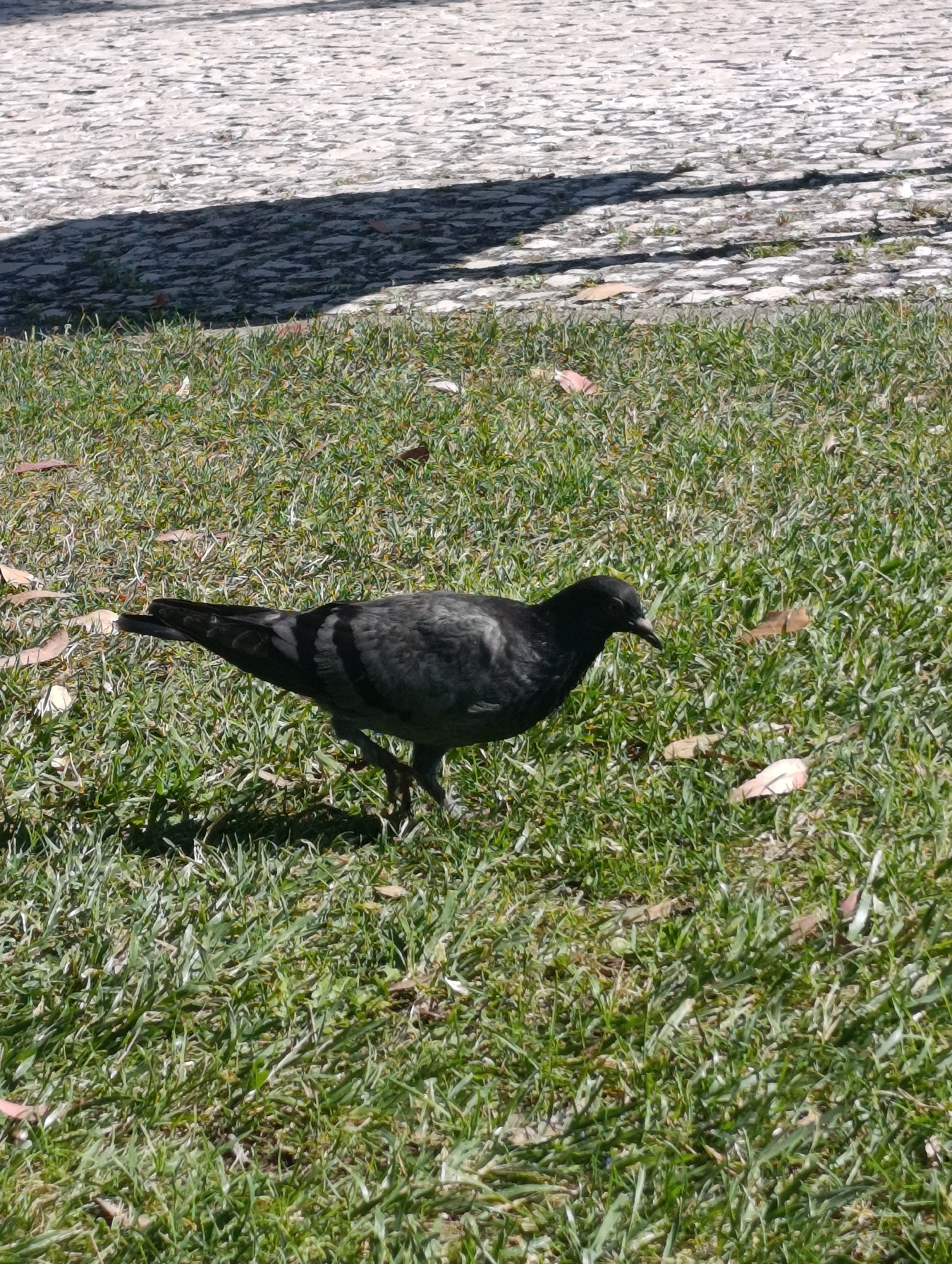 Setúbal, Portugal