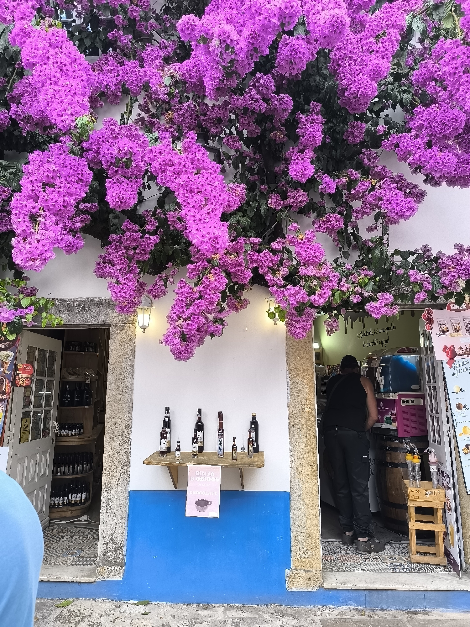 Medieval reenactment day in Óbidos draws crowds to cobblestone streets