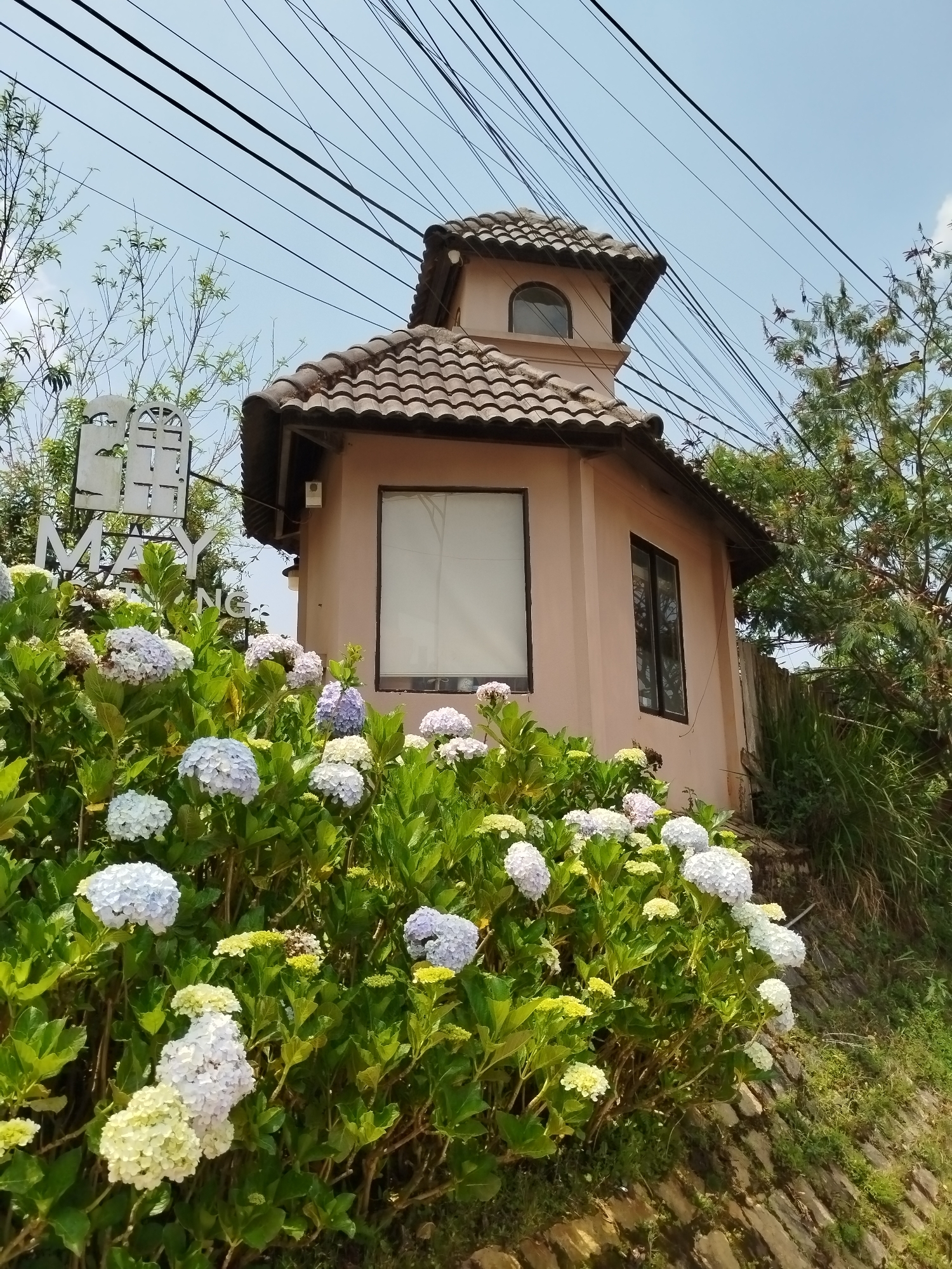 Scenic building and hydrangeas documented at Lang Biang, Vietnam