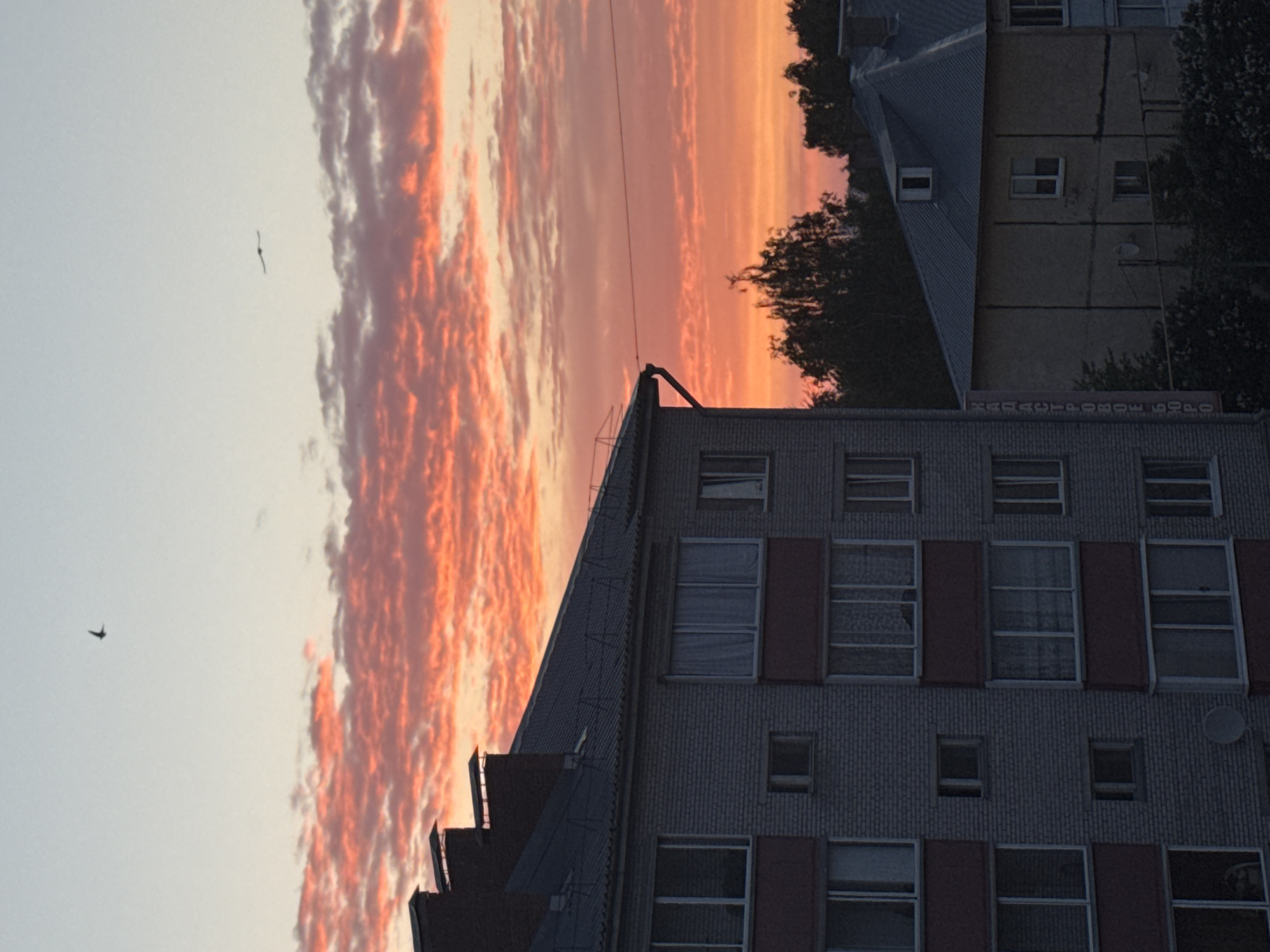 Sunset with pink-orange clouds observed in Zav'yalovo, Russia