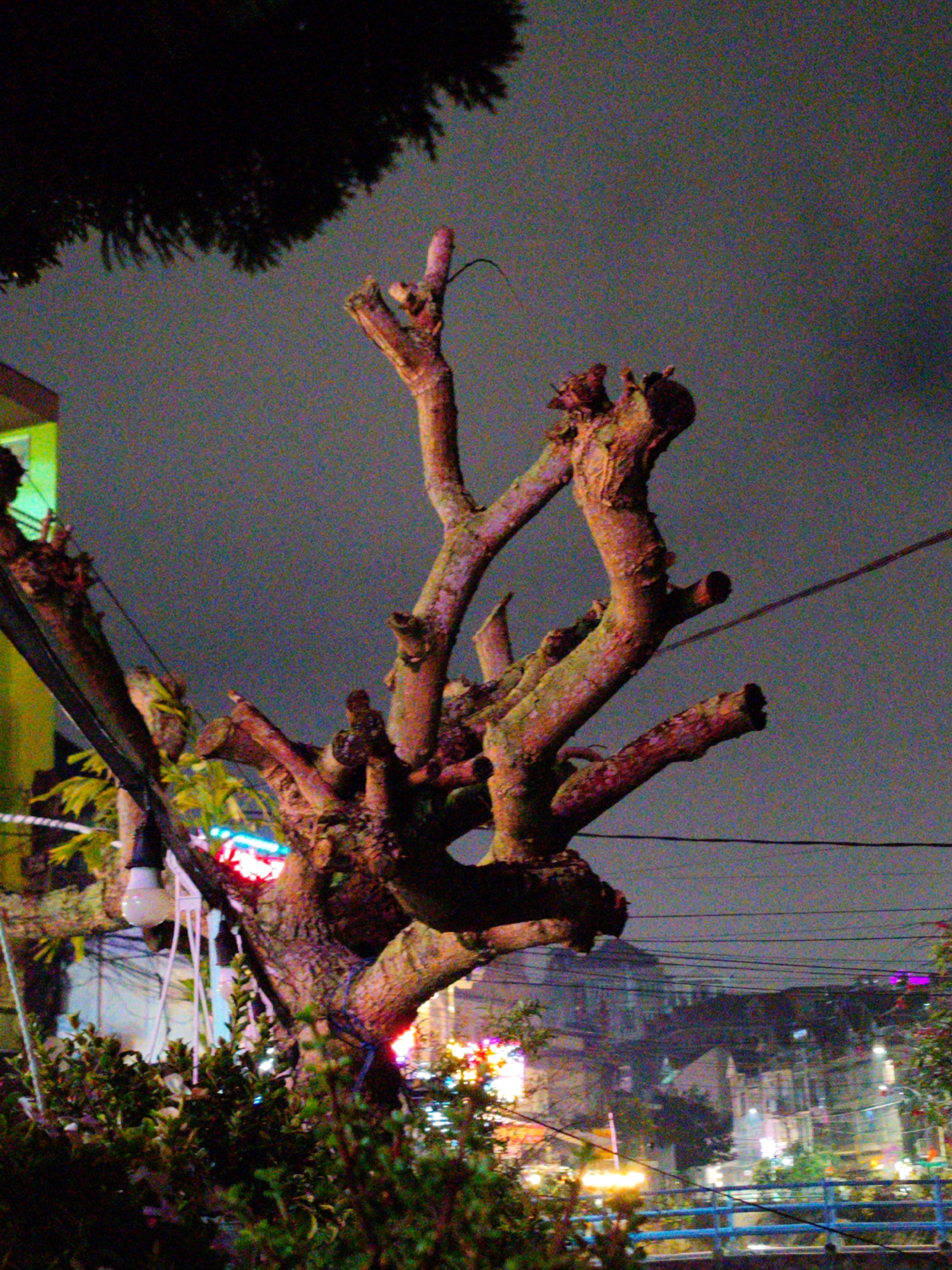 Evening dining and nighttime scenes captured in Đà Lạt