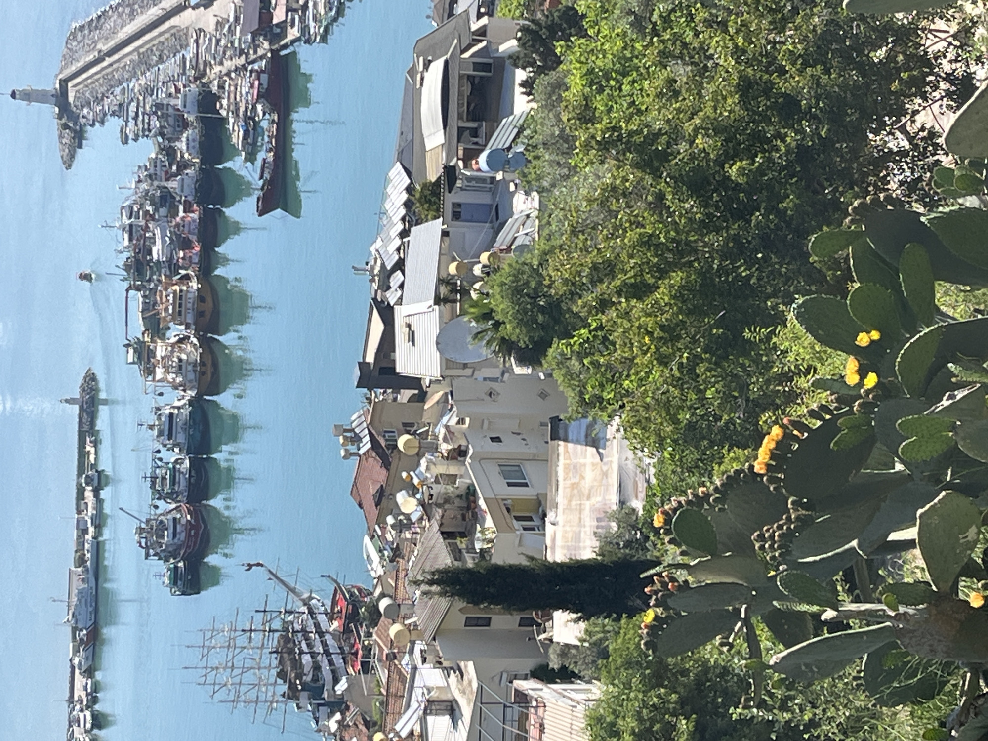 Tourist captures Alanya harbor views and caged parrot moments