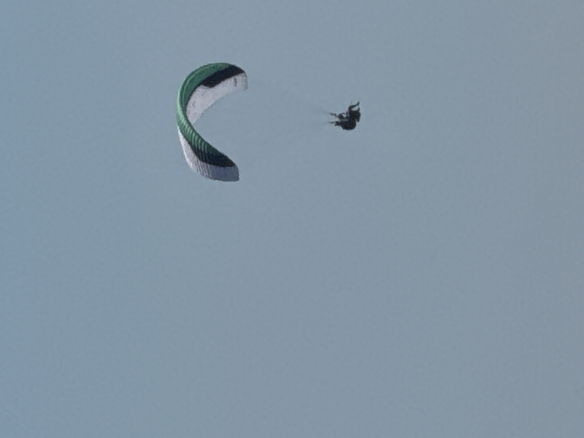 Paragliders soar over Montenegro's Adriatic coast on a clear afternoon