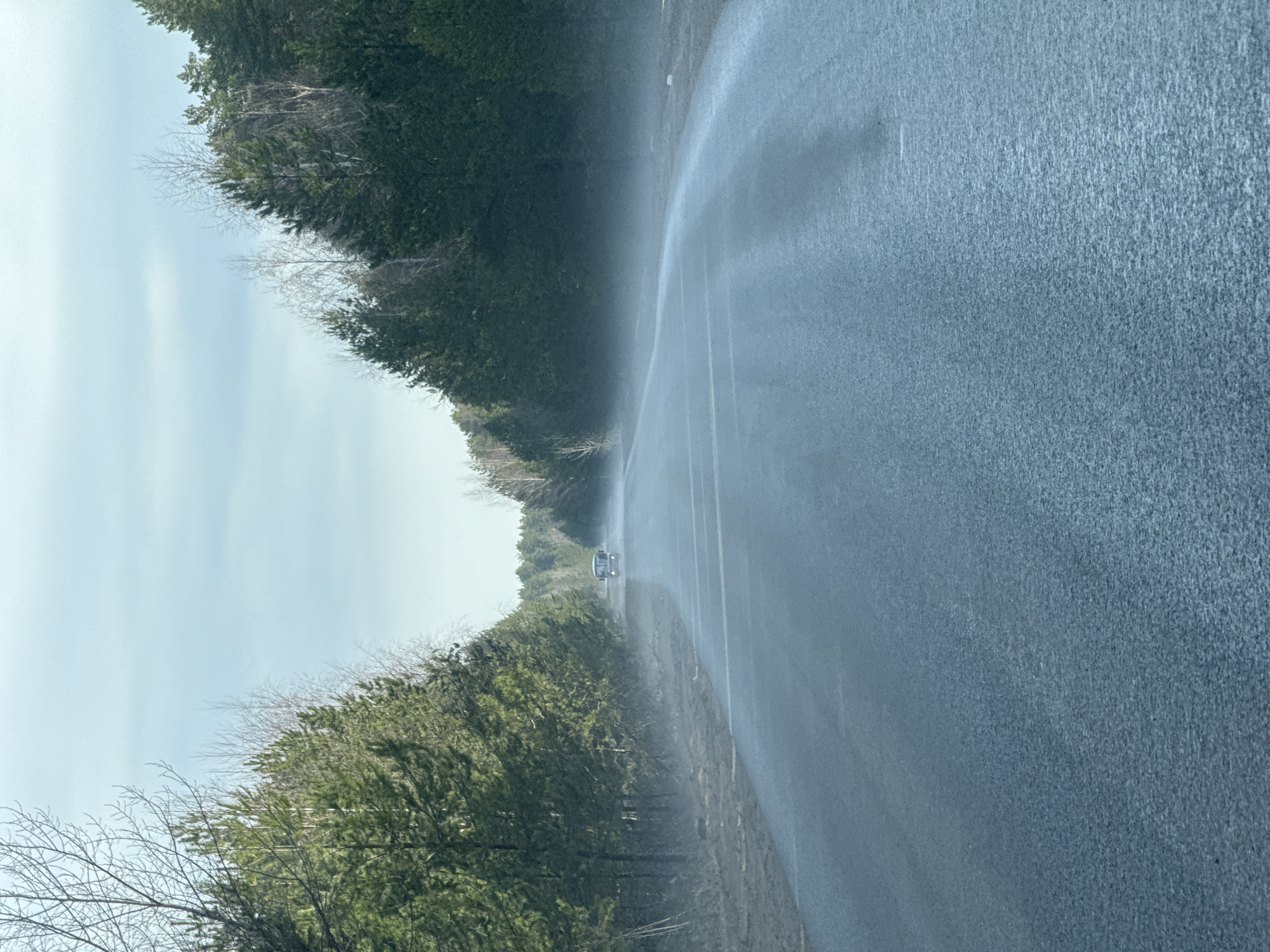 Wet tree-lined road observed near Chaikovsky, Russia