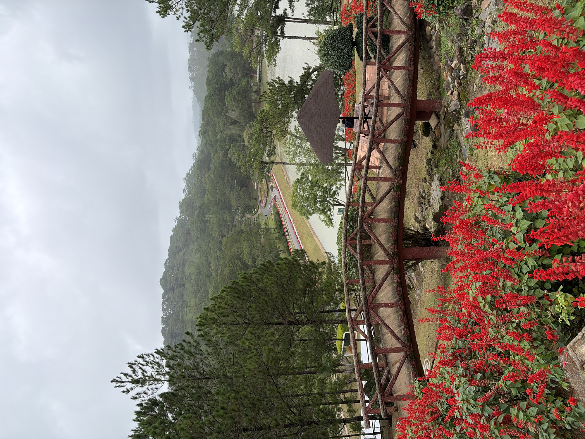 Lam Vien garden paths and blooms on a cloudy Da Lat morning
