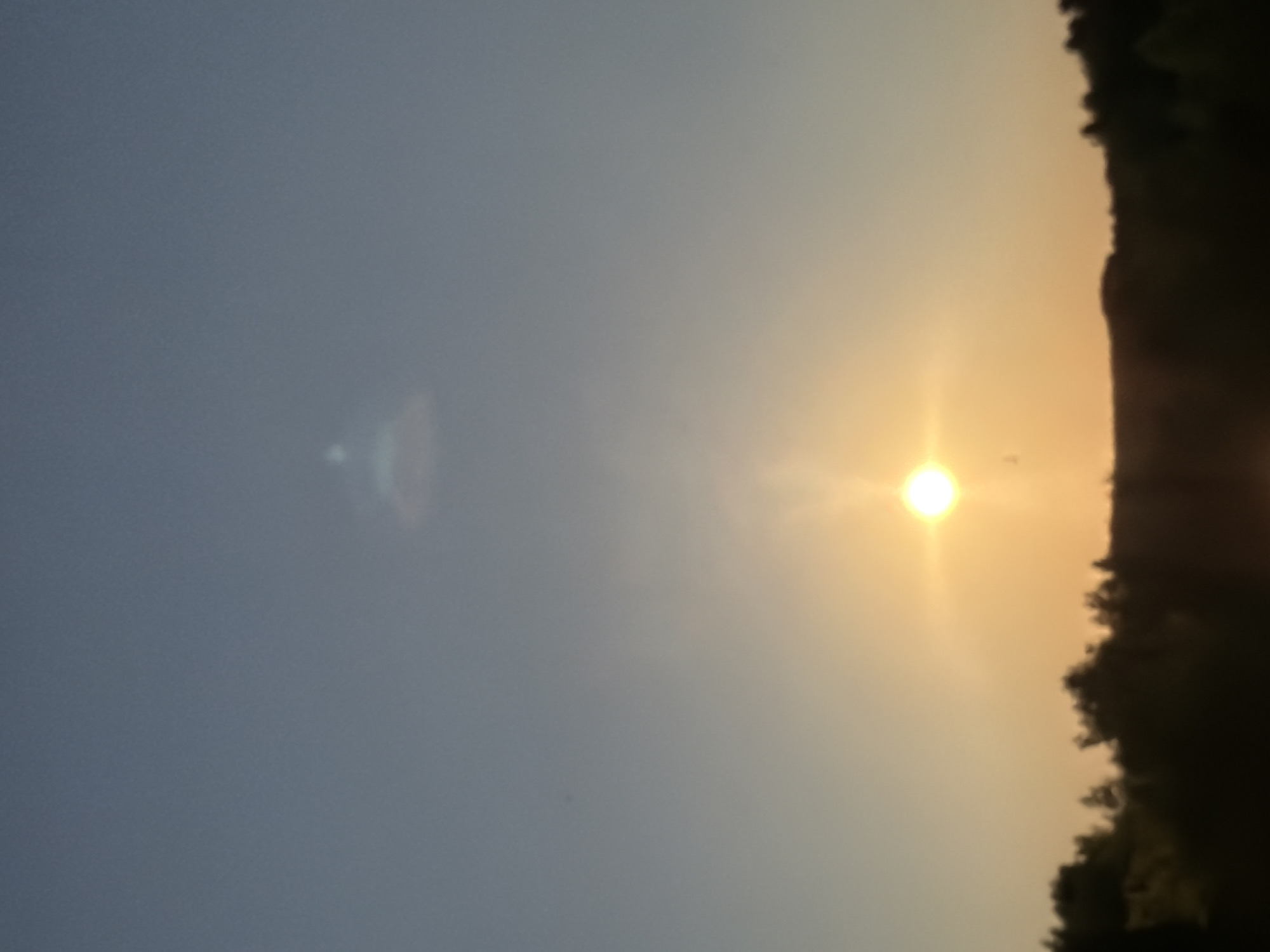 Golden sunset over Nesebar's treeline, Bulgaria
