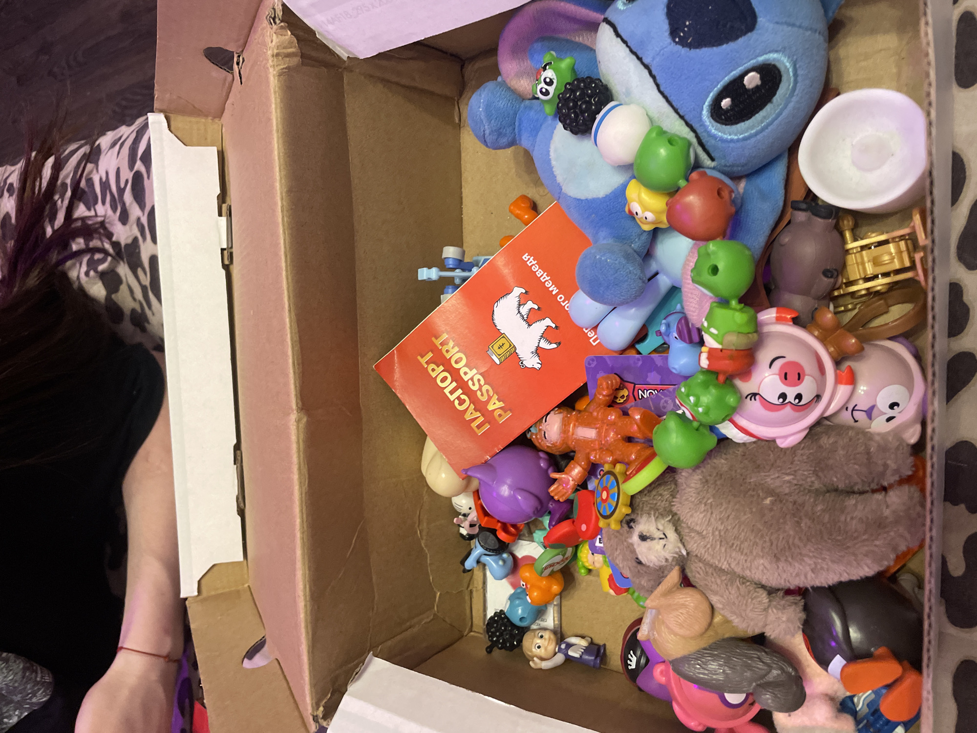 Russian resident catalogs personal toy collection, keepsakes during evening