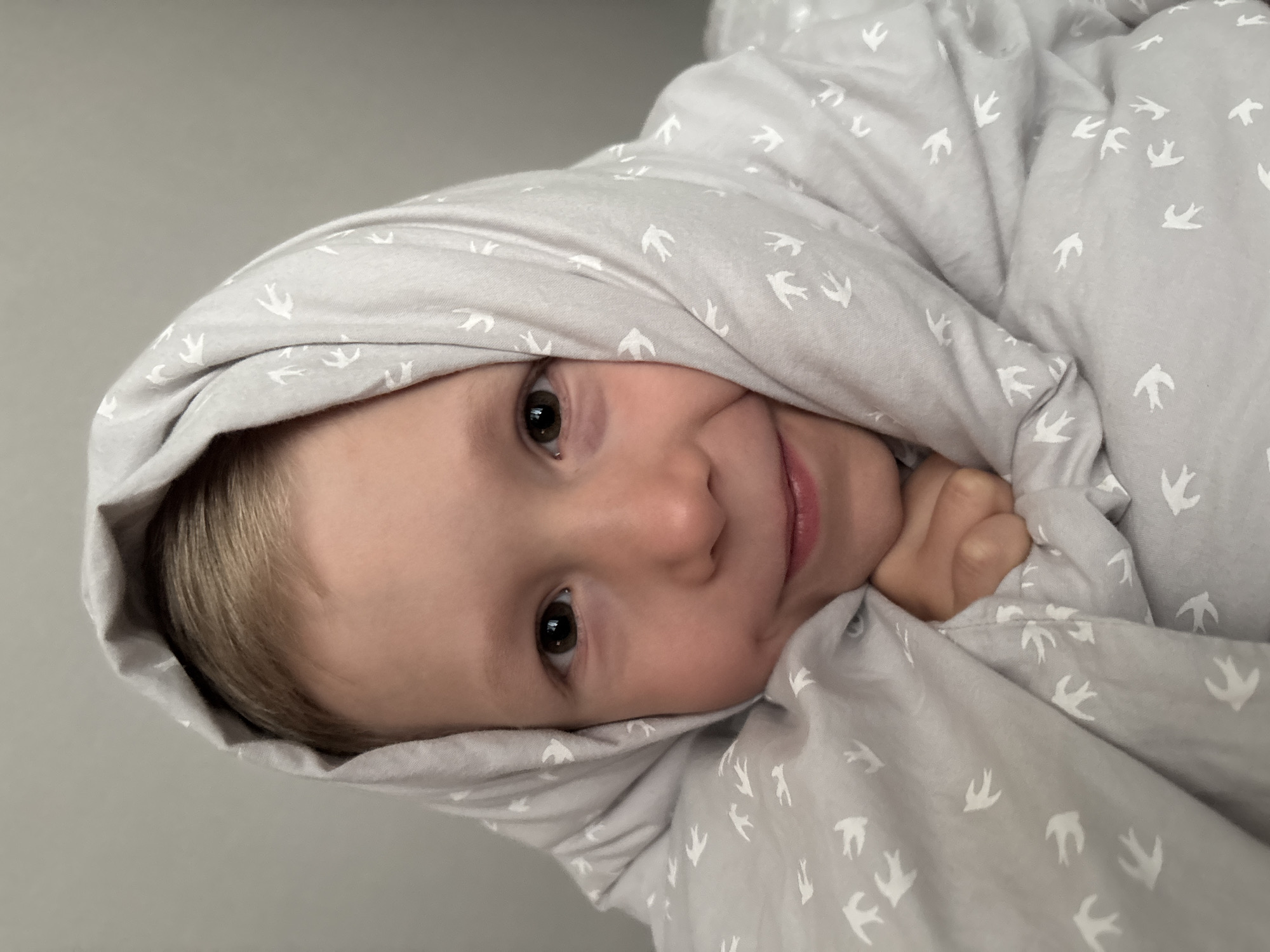 Child's quiet afternoon activities captured in Chaikovsky home