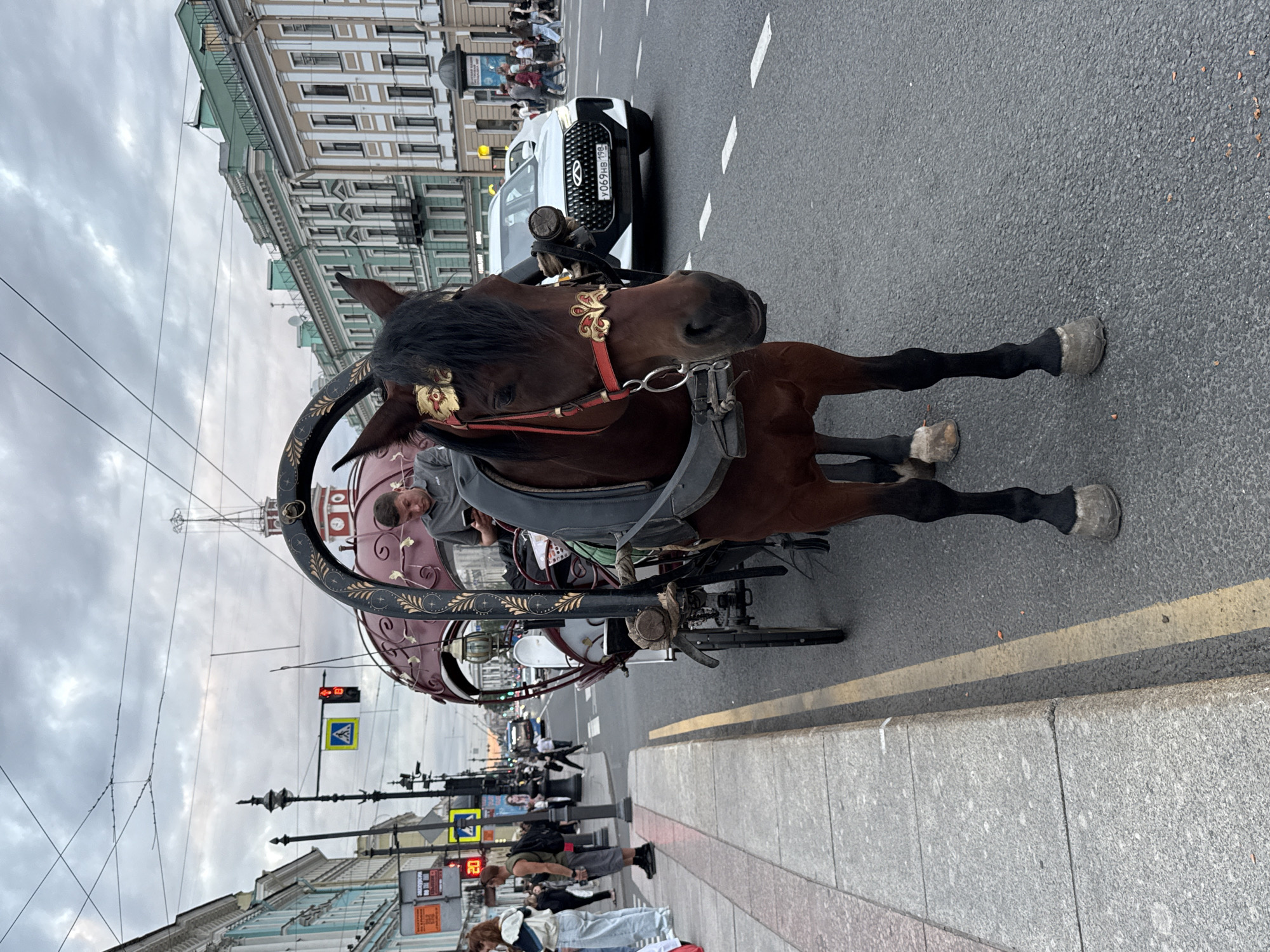 Horse-drawn carriage near Kazan Cathedral, Saint Petersburg at dusk
