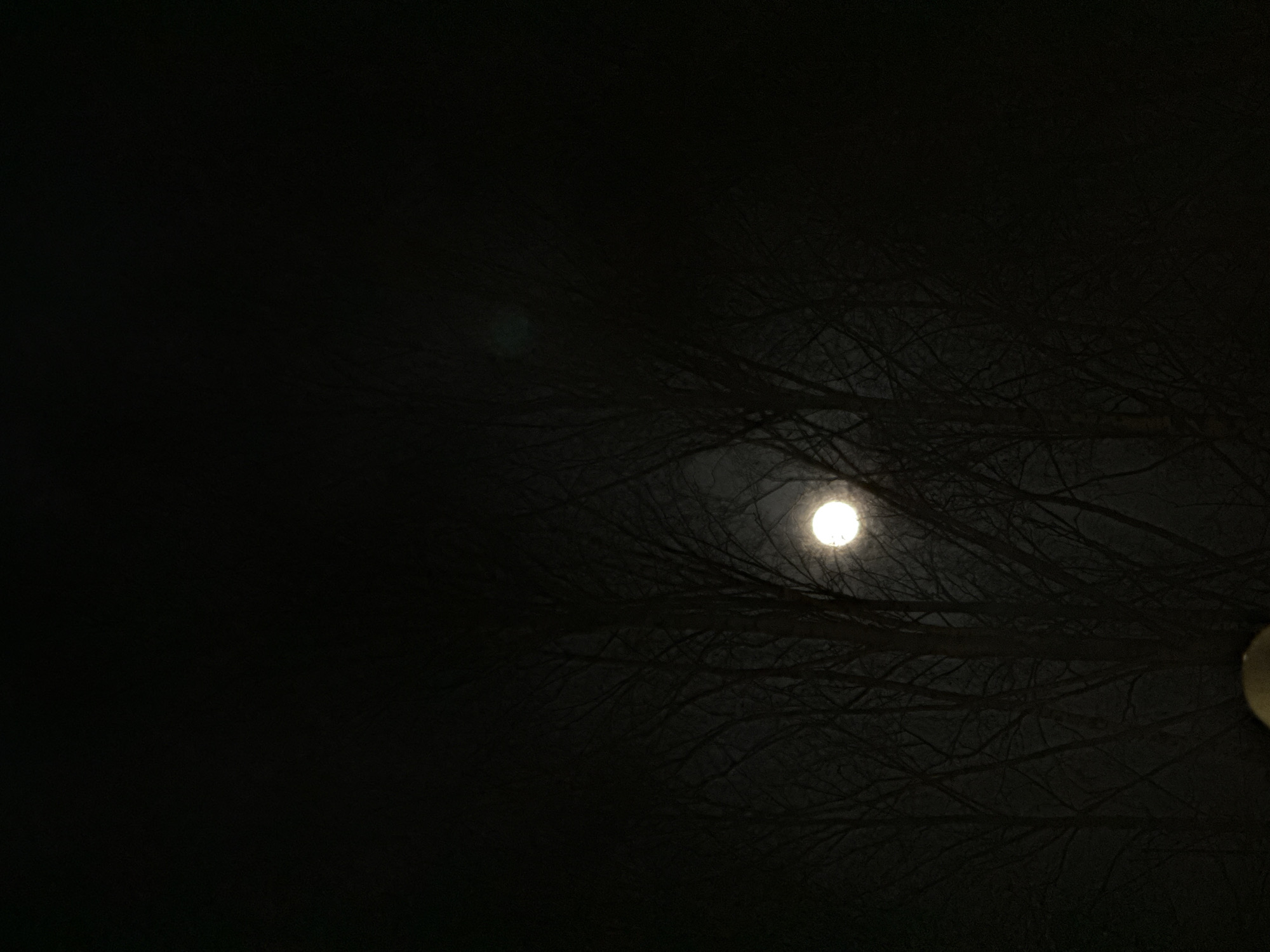 Nighttime scenes captured in Dmitrov featuring moonlight and illuminated building