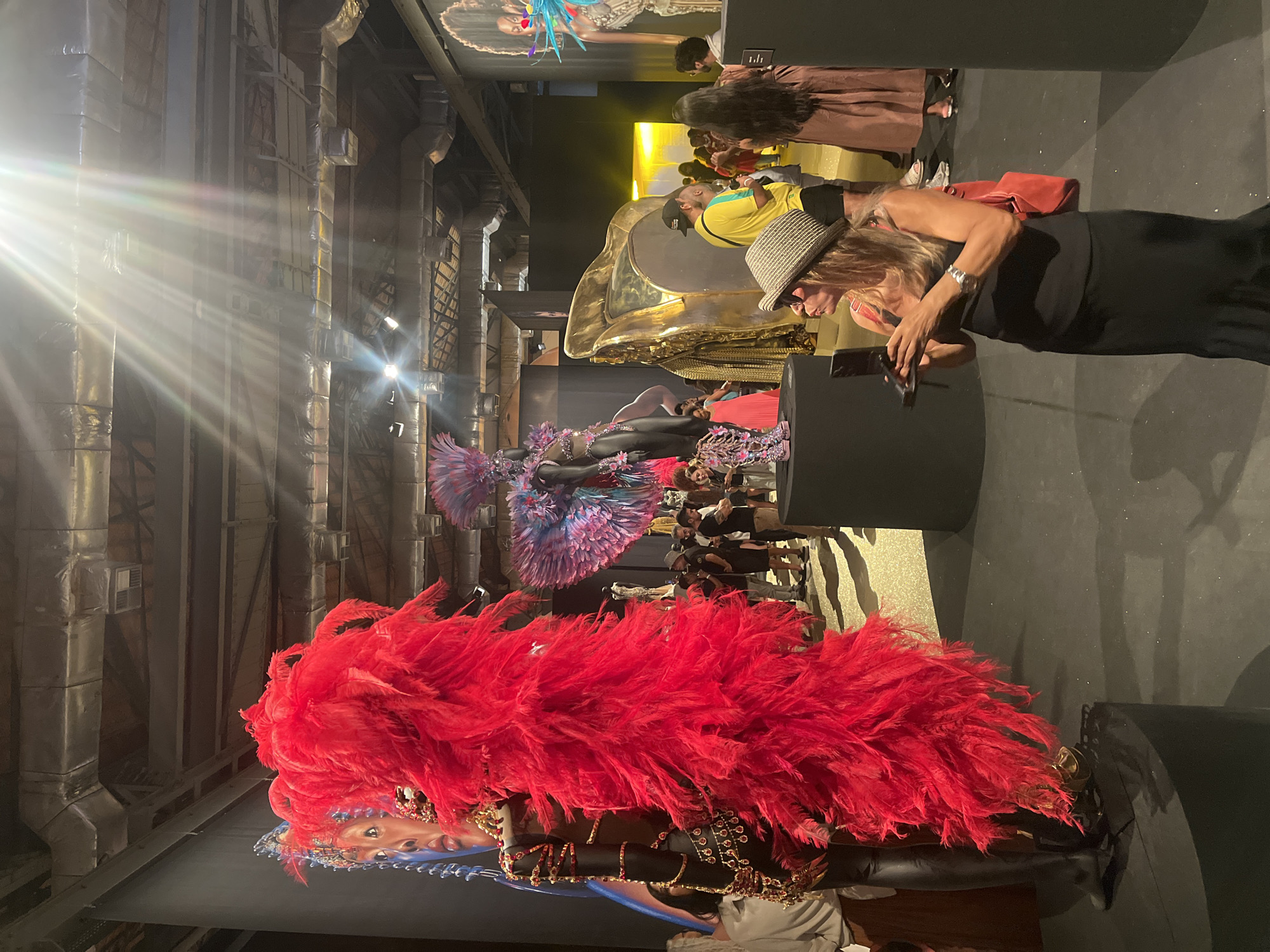Woman views carnival costume display at Rio museum
