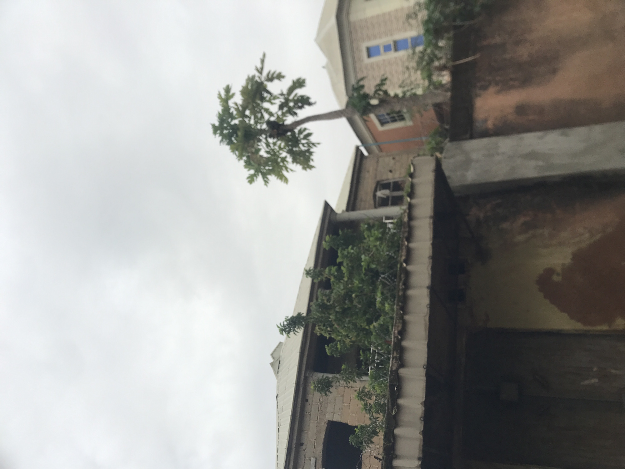 Daily life documented across Kabong, Nigeria neighborhoods