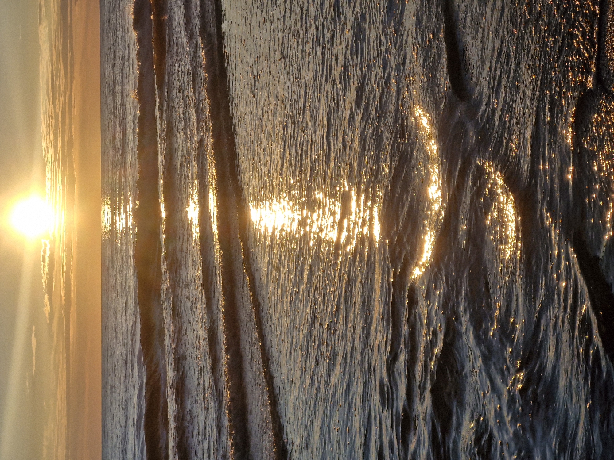 Baltic sunset on the Klaipėda shore, golden hour