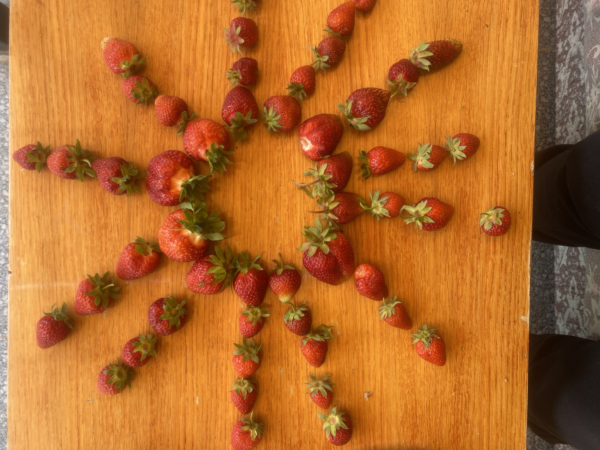 Strawberry gardening and harvest display in Krupki, Belarus